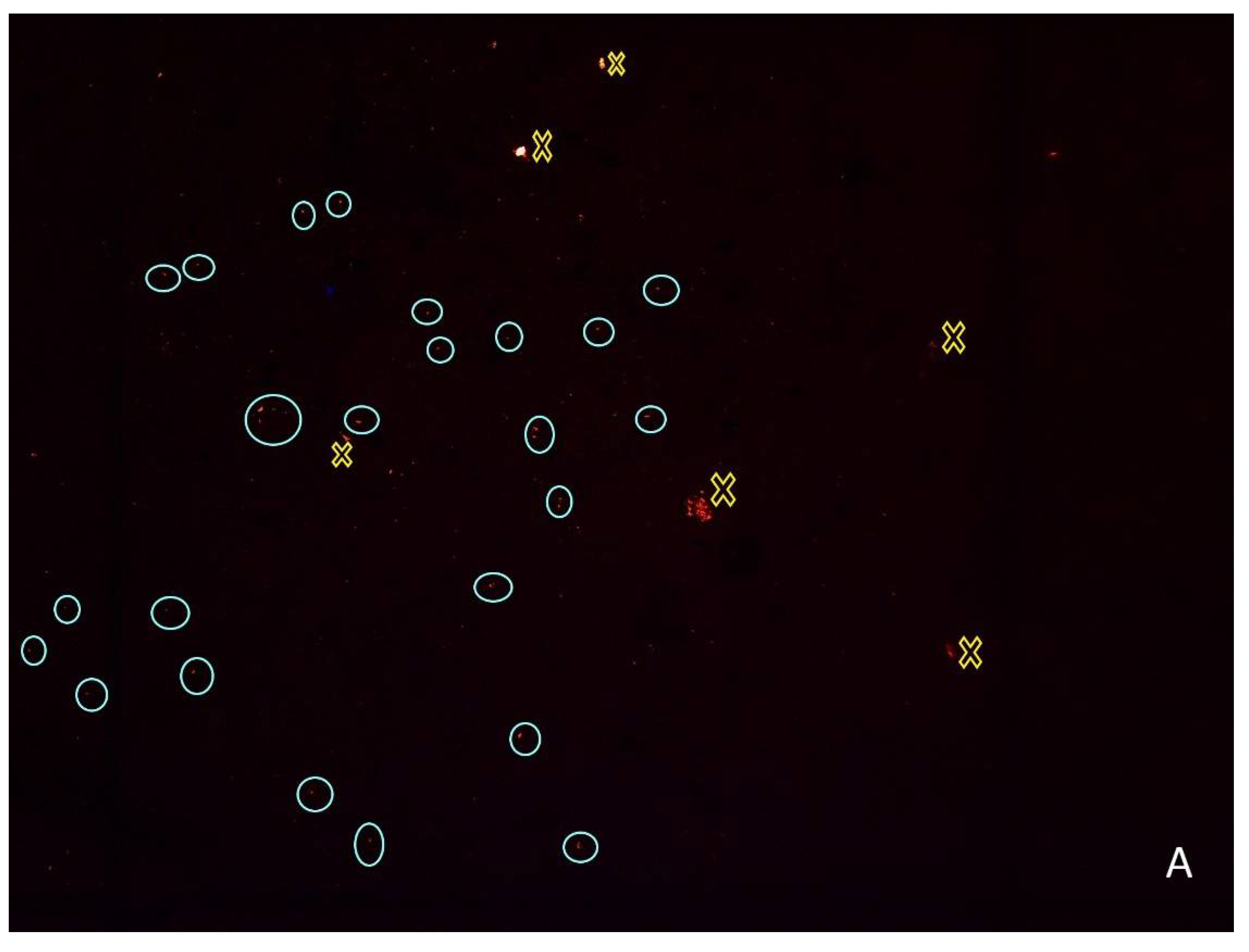 Ijerph 19 15956 g003a