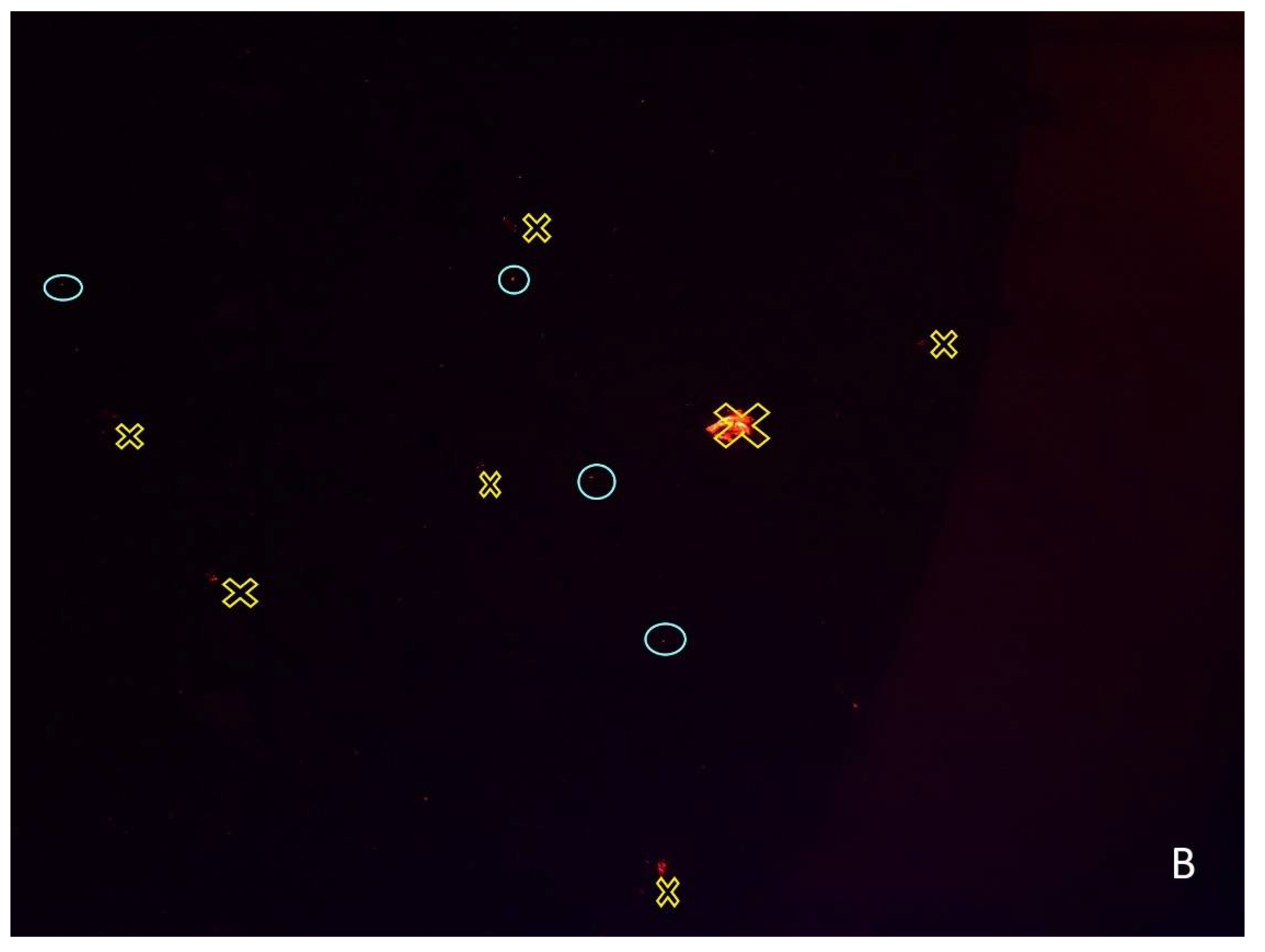 Ijerph 19 15956 g003b