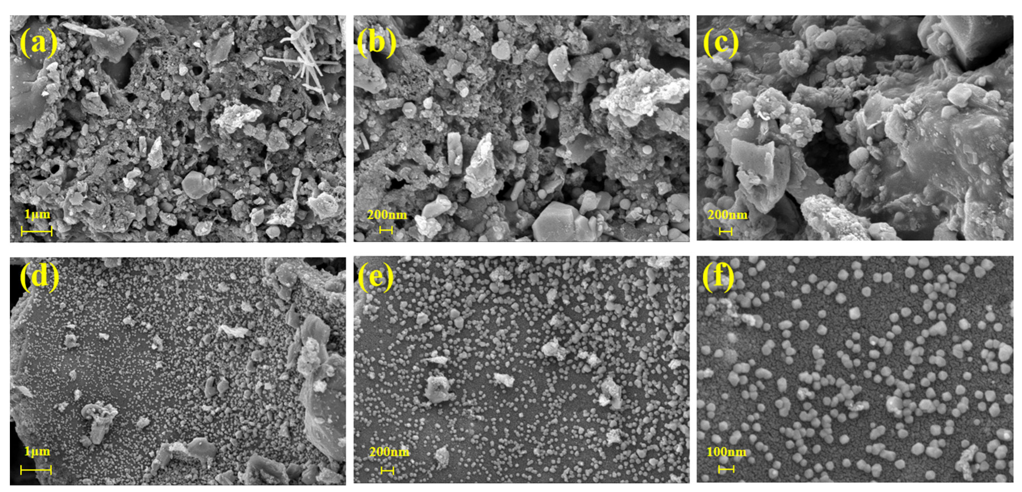 Ijerph 19 16041 g002