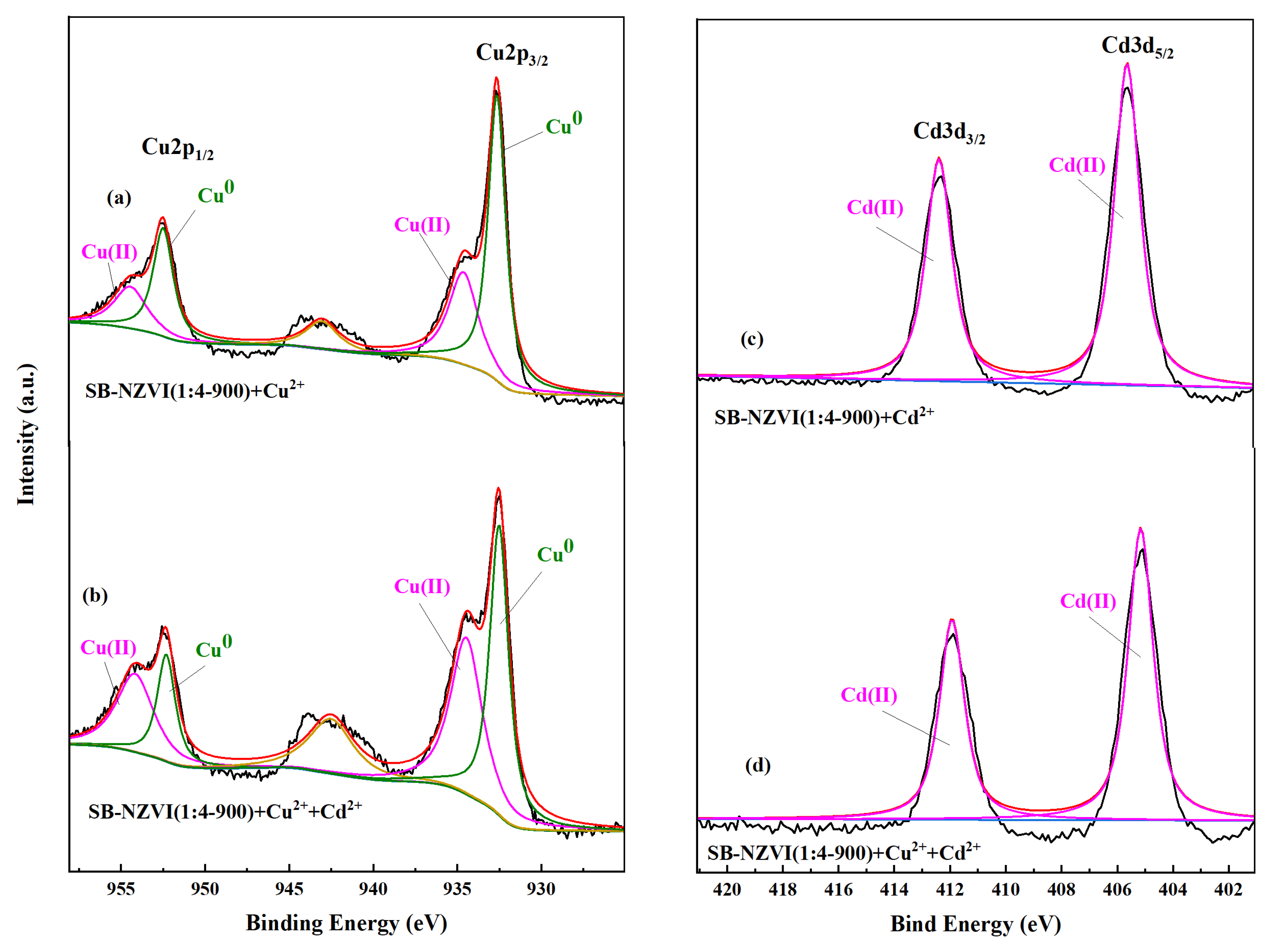 Ijerph 19 16041 g006