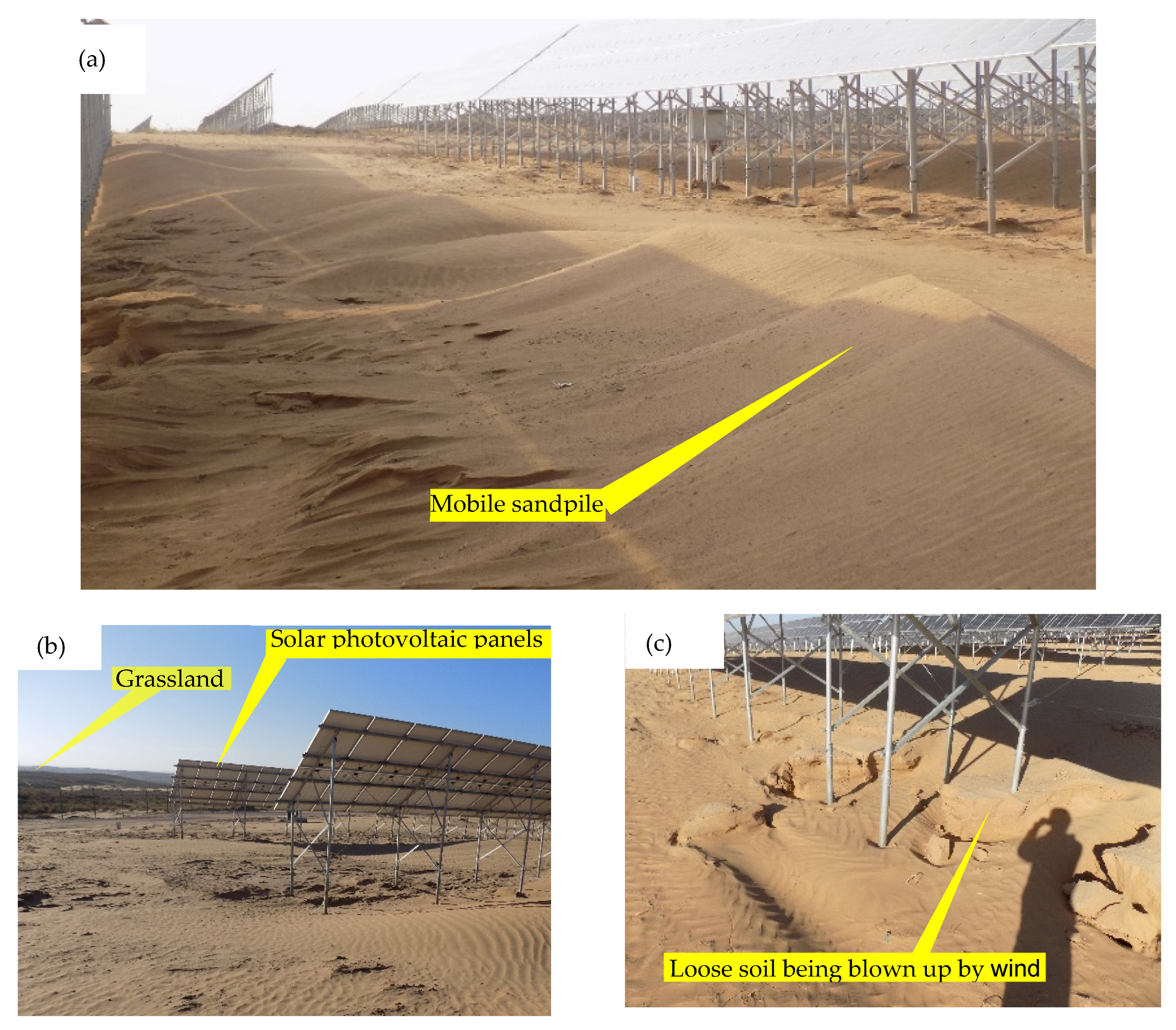 Ijerph 19 16046 g002