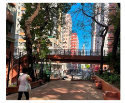 Ijerph 19 16178 i009