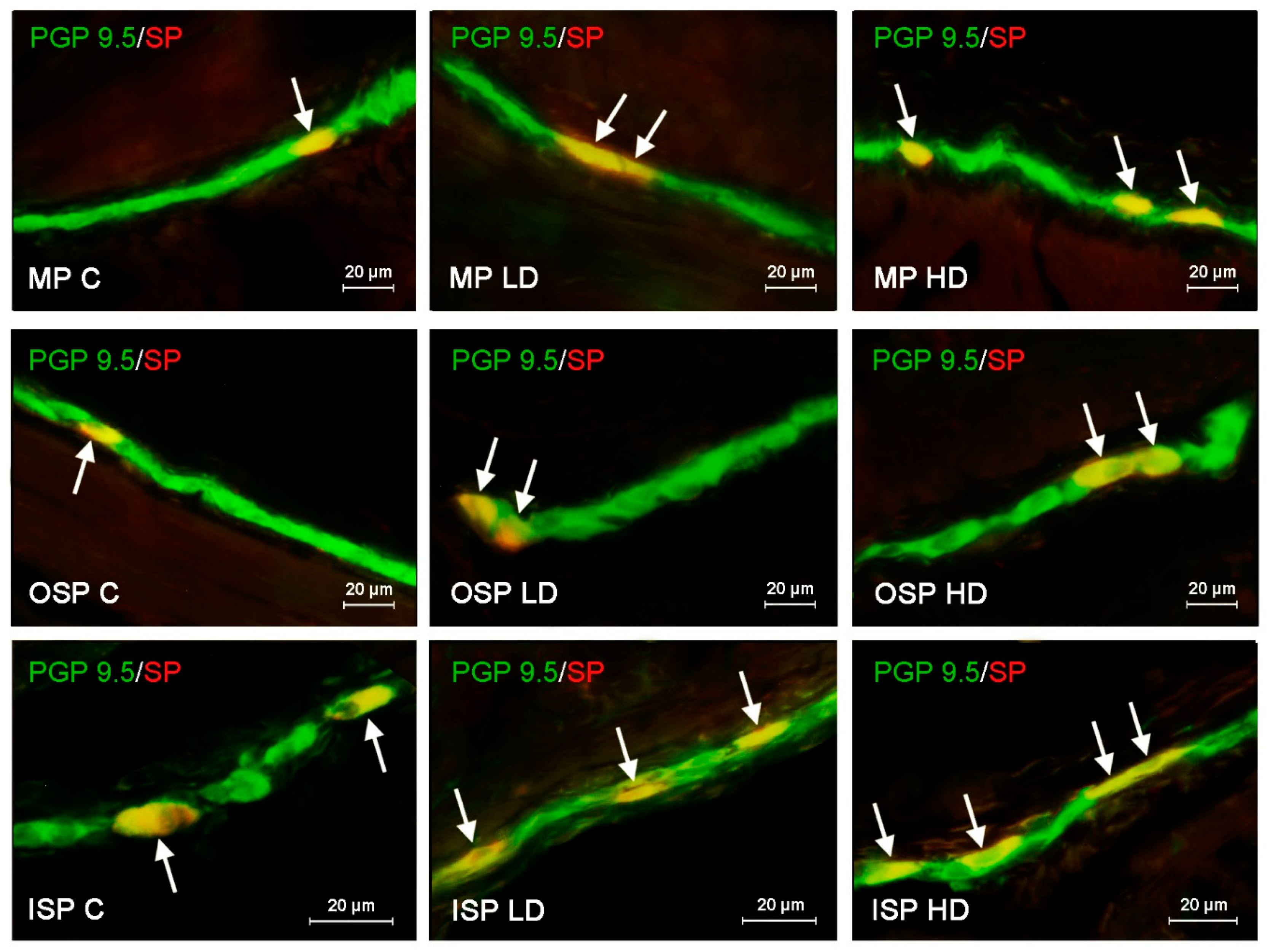 Ijerph 19 16187 g001