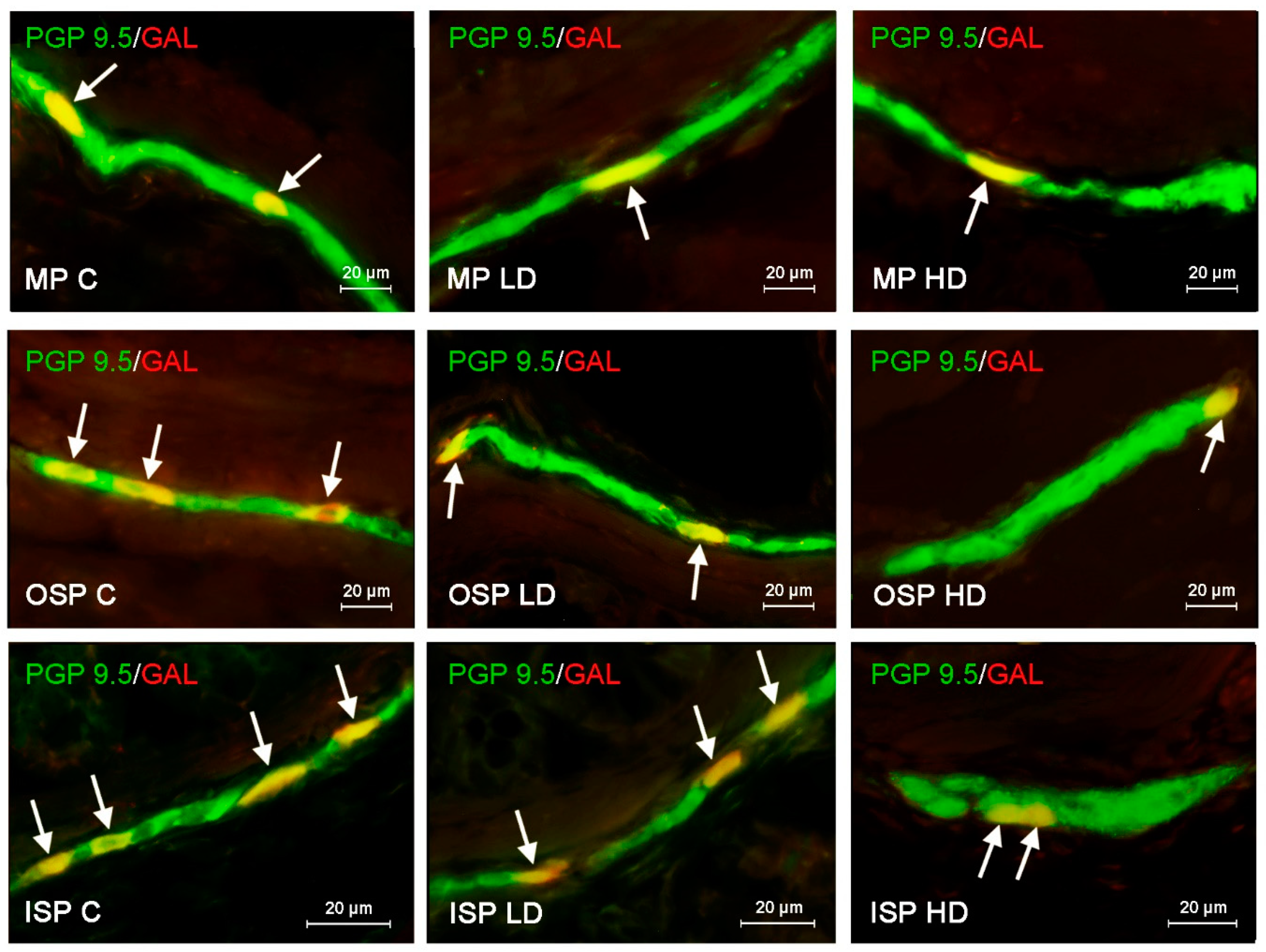 Ijerph 19 16187 g003