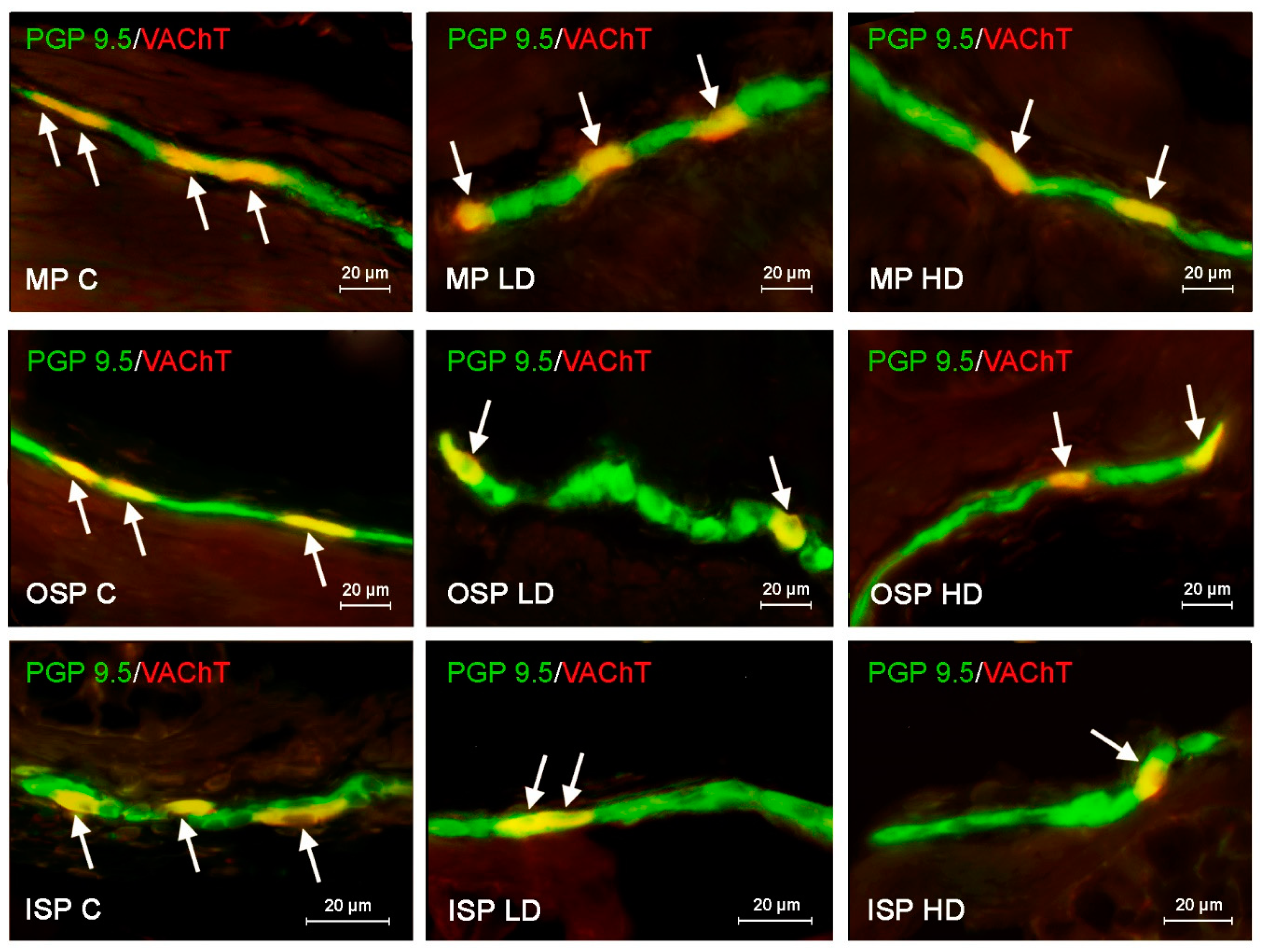 Ijerph 19 16187 g004