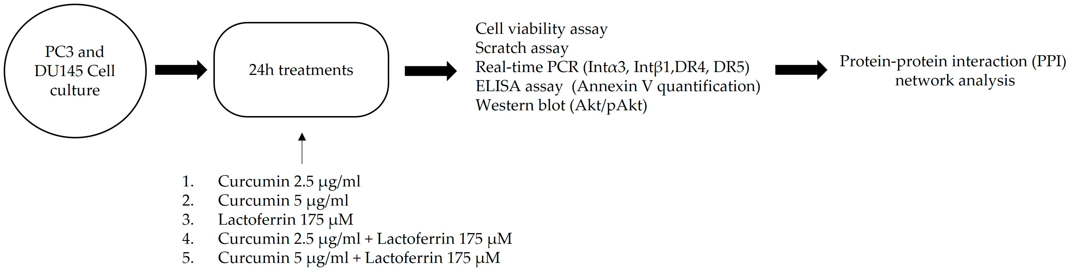 Ijerph 19 16193 g001 Ijerph 19 16193 g001