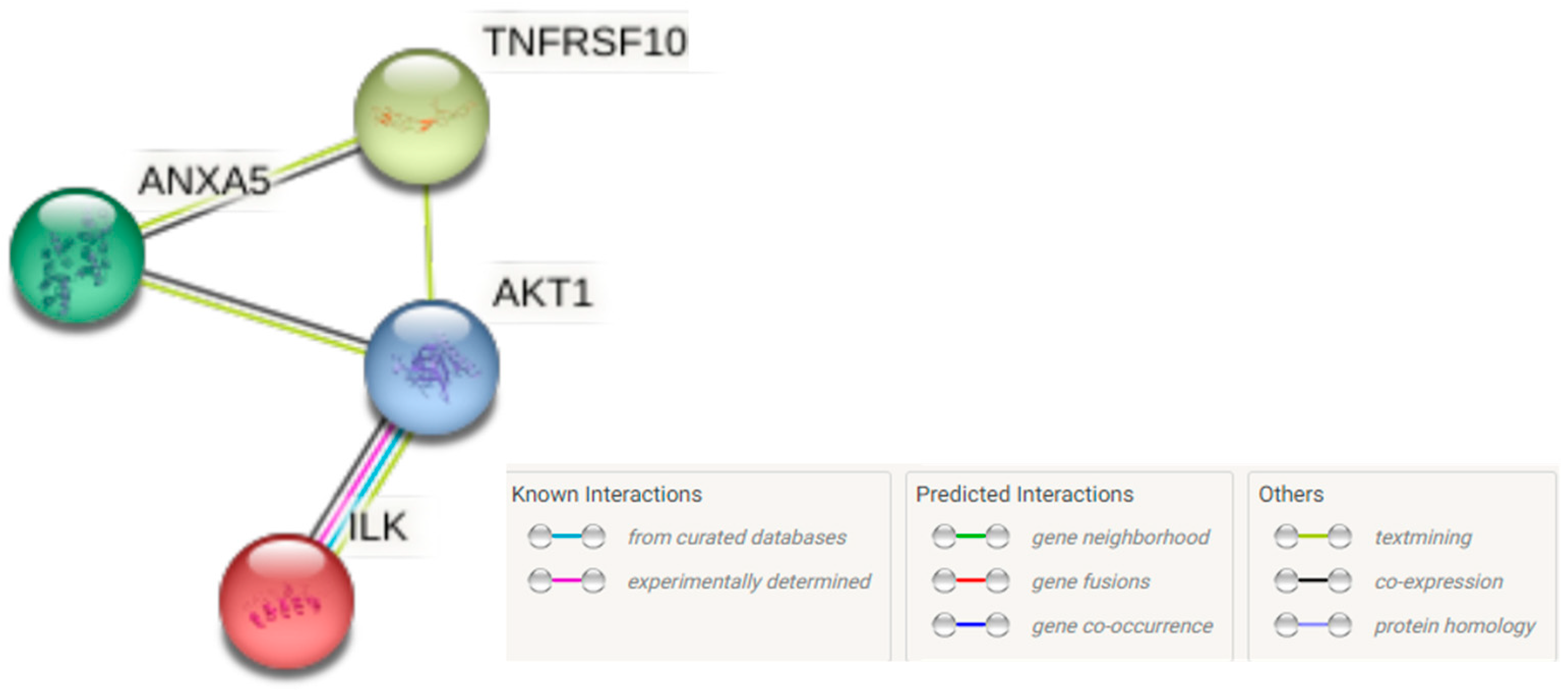 Ijerph 19 16193 g010 Ijerph 19 16193 g010