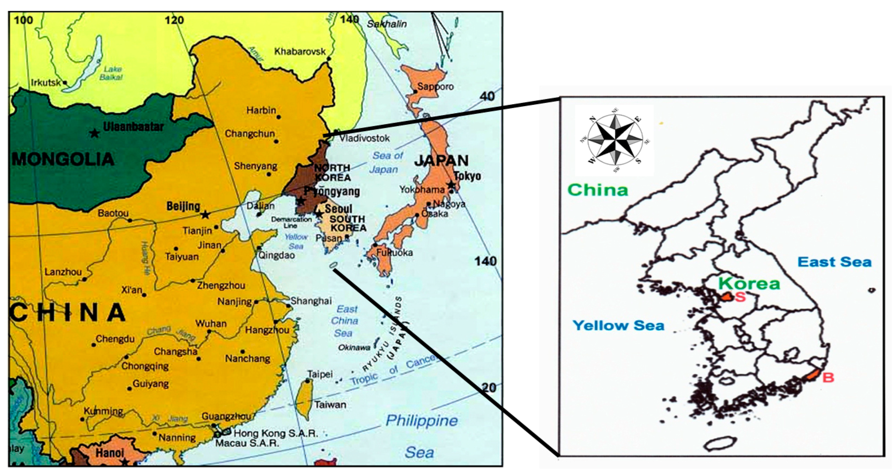 Ijerph 19 16338 g001