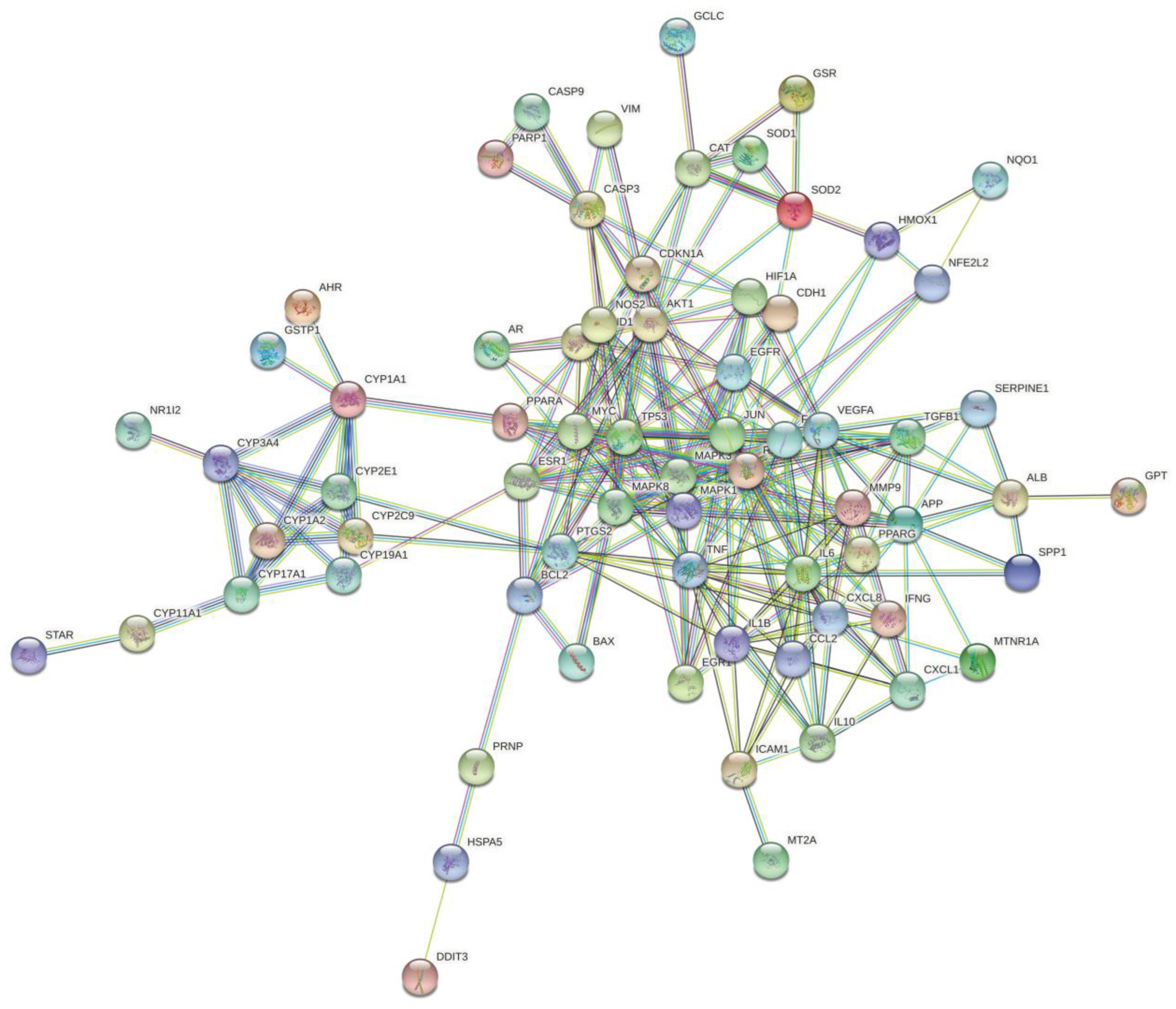 Ijerph 19 16475 g003