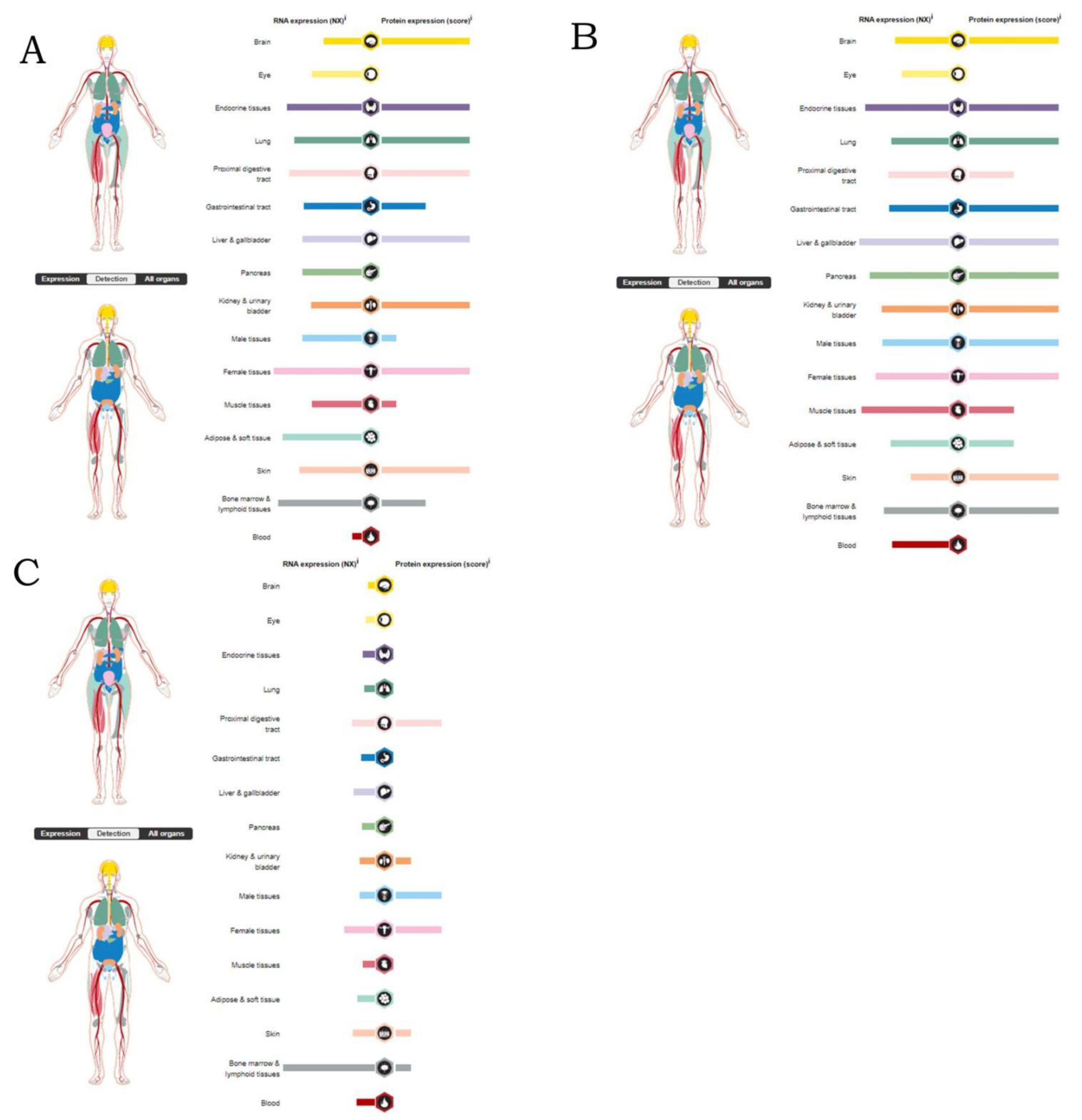 Ijerph 19 16475 g006