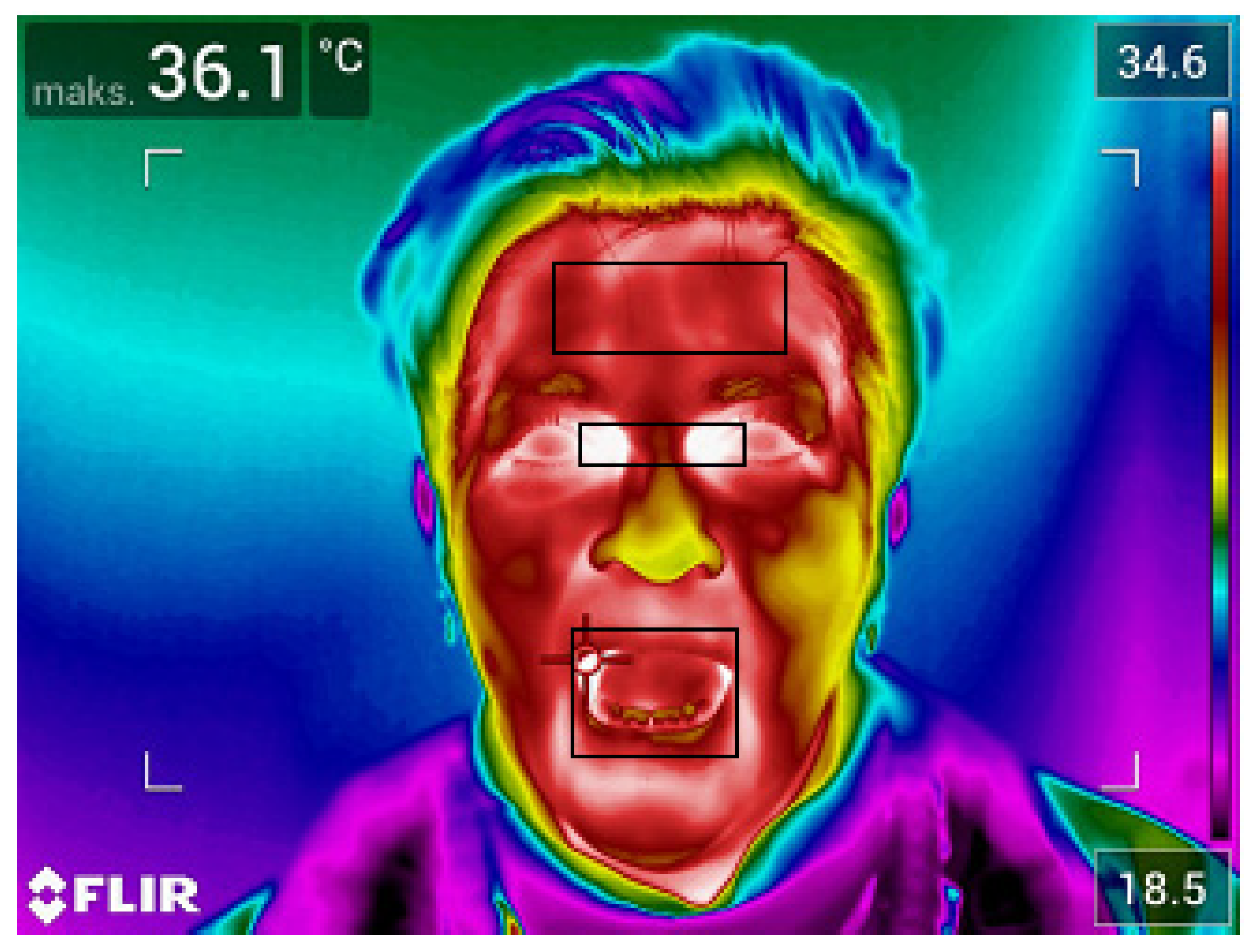 Ijerph 19 16511 g001