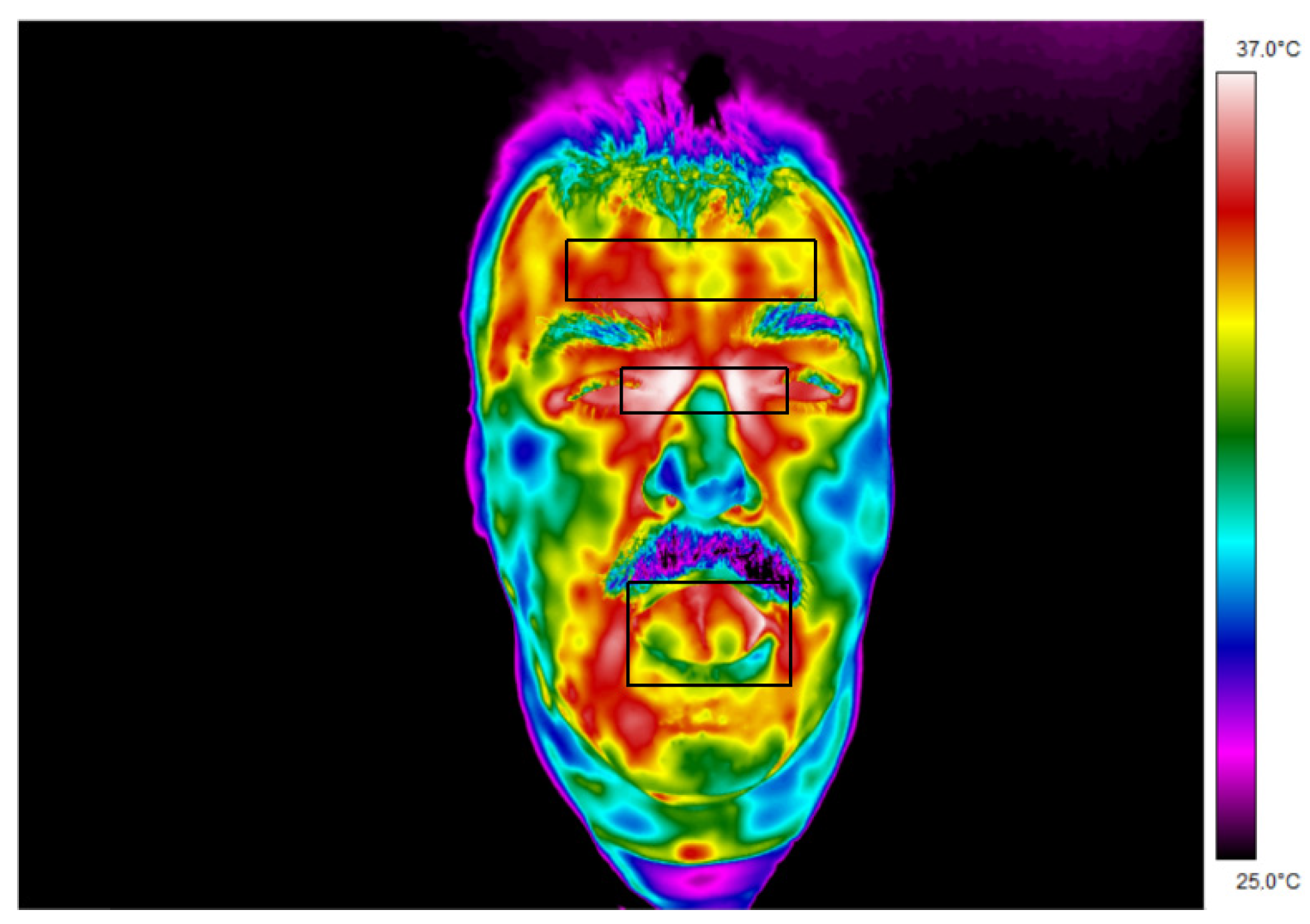 Ijerph 19 16511 g003