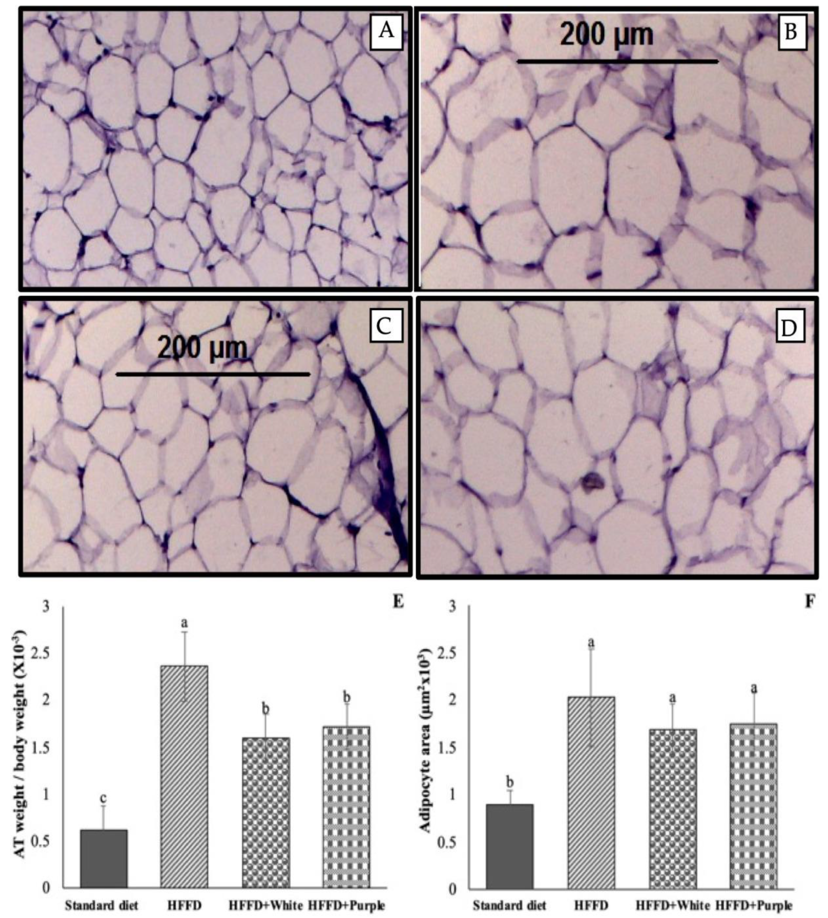 Ijerph 19 16538 g002