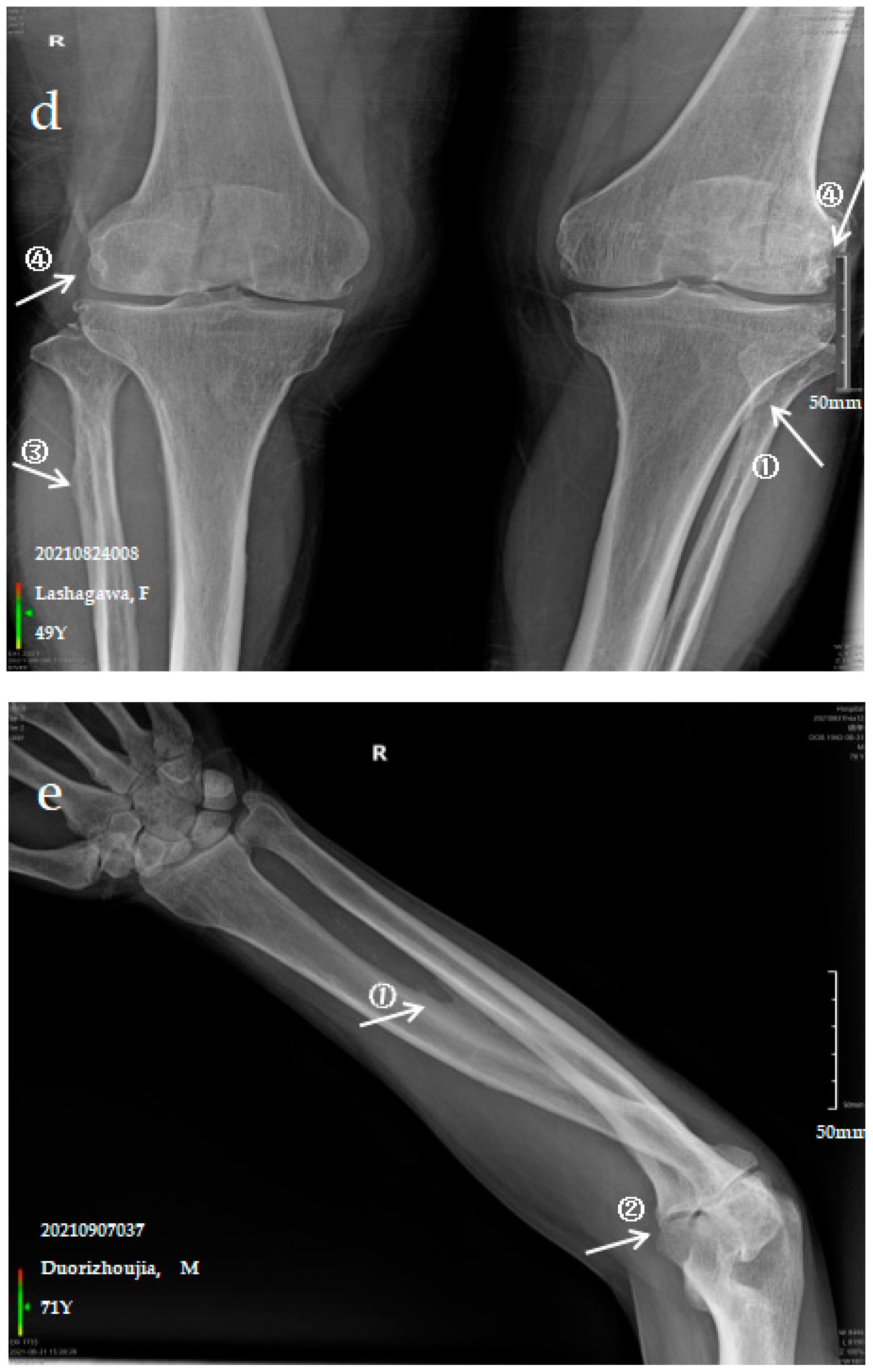 Ijerph 19 16555 g001c Ijerph 19 16555 g001c