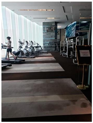 Ijerph 19 16558 i004