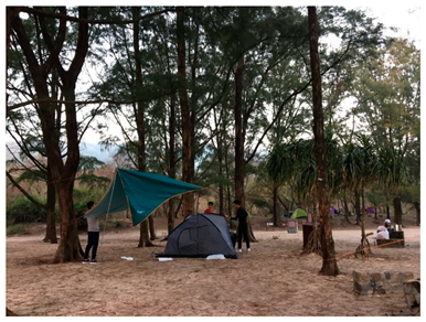 Ijerph 19 16558 i005