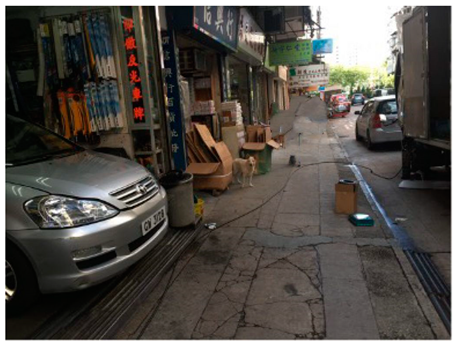 Ijerph 19 16558 i009