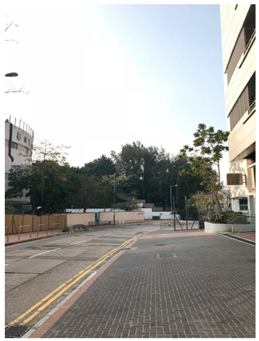 Ijerph 19 16558 i011