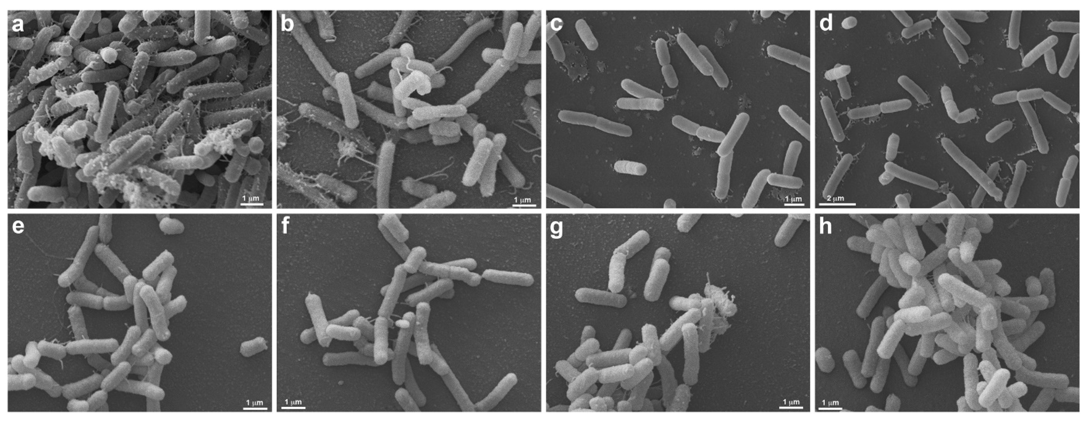 Ijerph 19 16559 g006 Ijerph 19 16559 g006