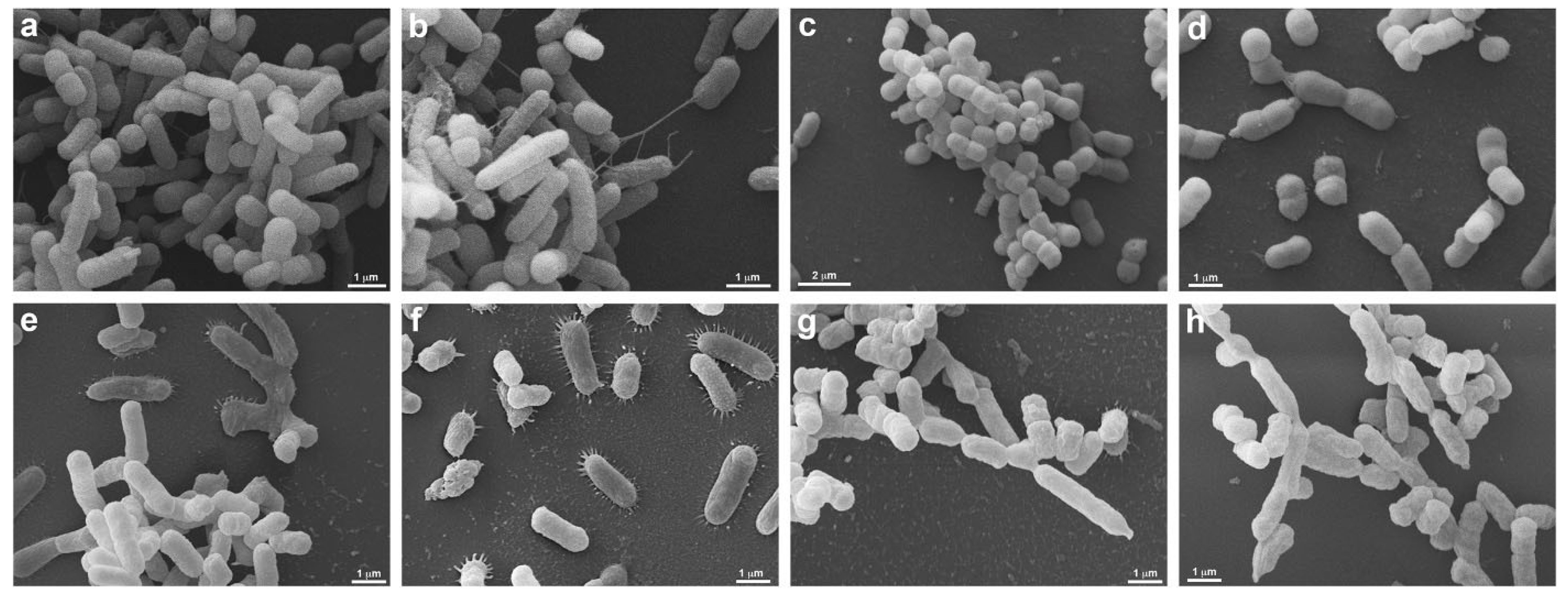 Ijerph 19 16559 g007 Ijerph 19 16559 g007