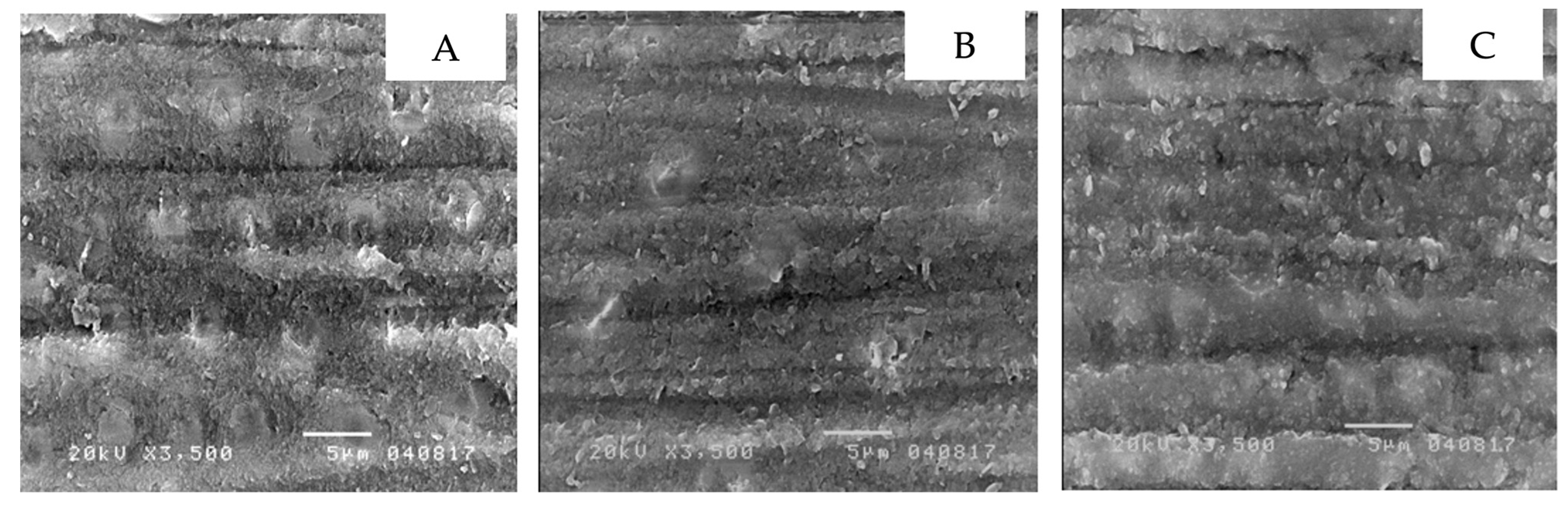 Ijerph 19 16567 g002