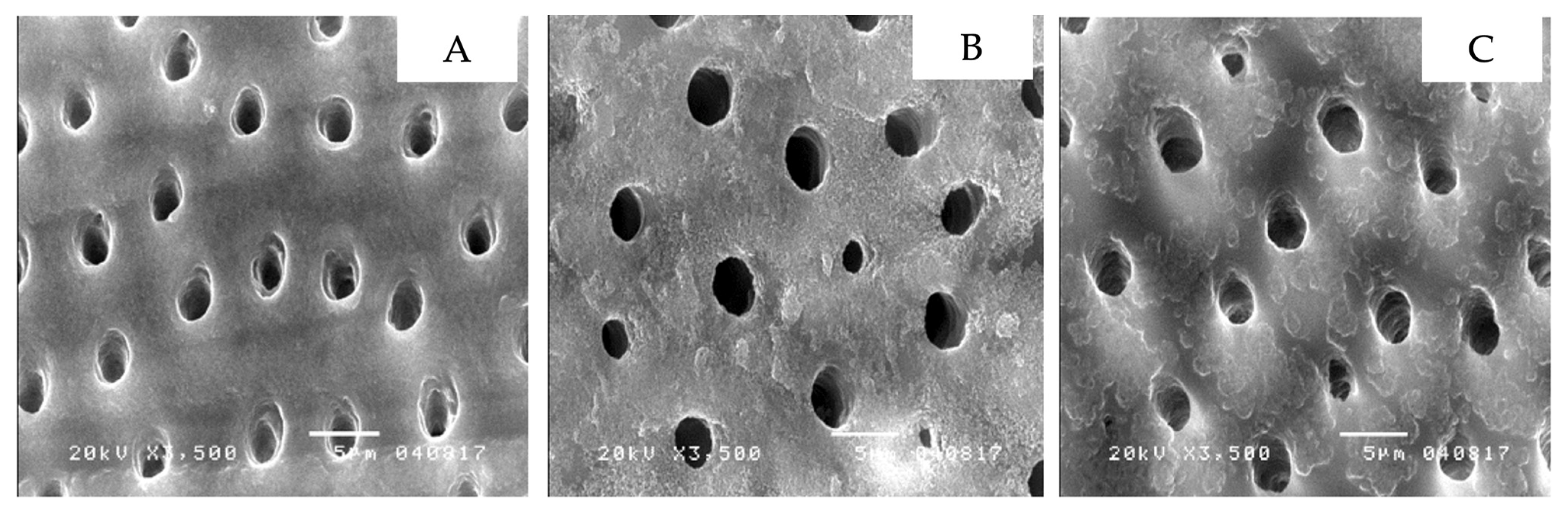 Ijerph 19 16567 g003