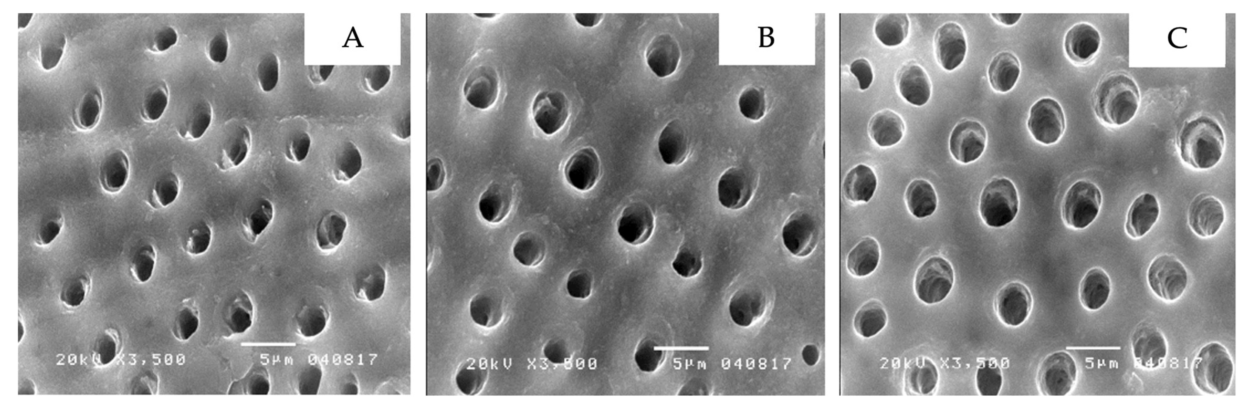 Ijerph 19 16567 g004