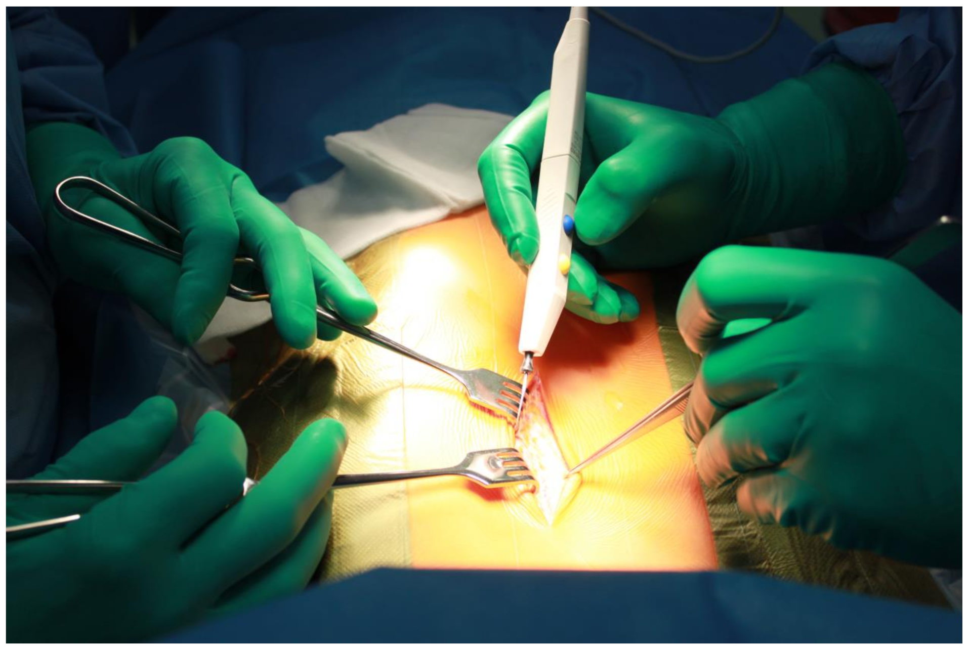 Ijerph 19 16701 i002 Ijerph 19 16701 i002