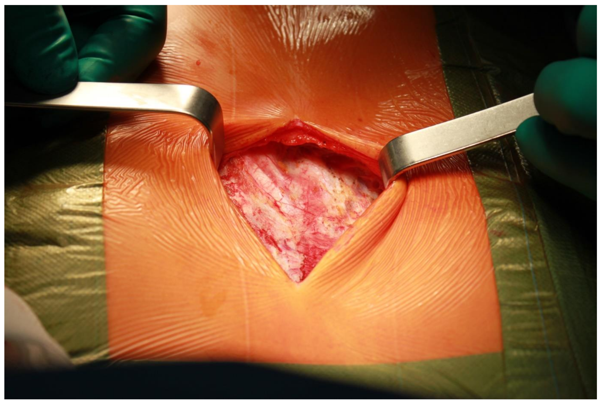 Ijerph 19 16701 i003 Ijerph 19 16701 i003