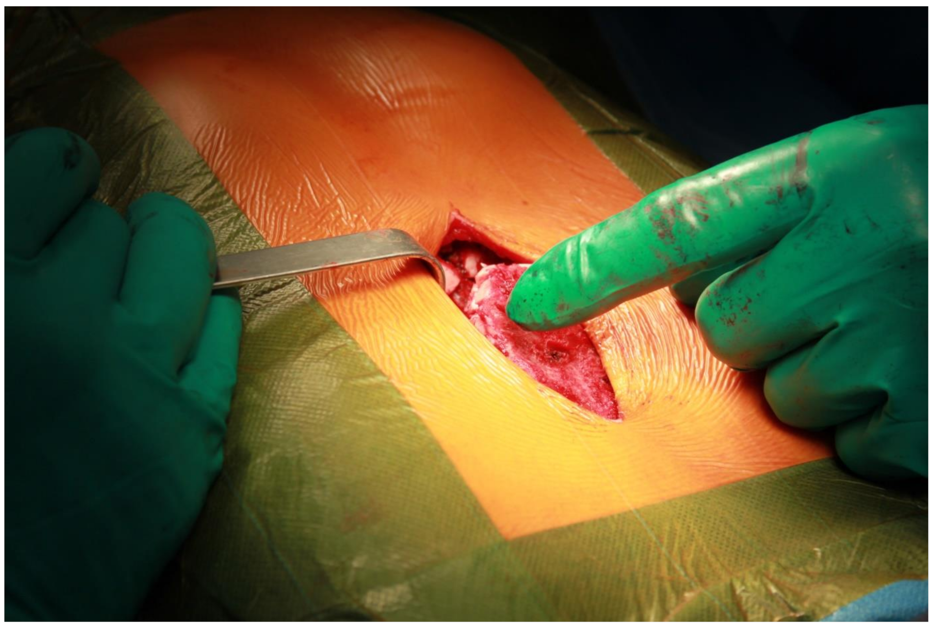 Ijerph 19 16701 i004 Ijerph 19 16701 i004