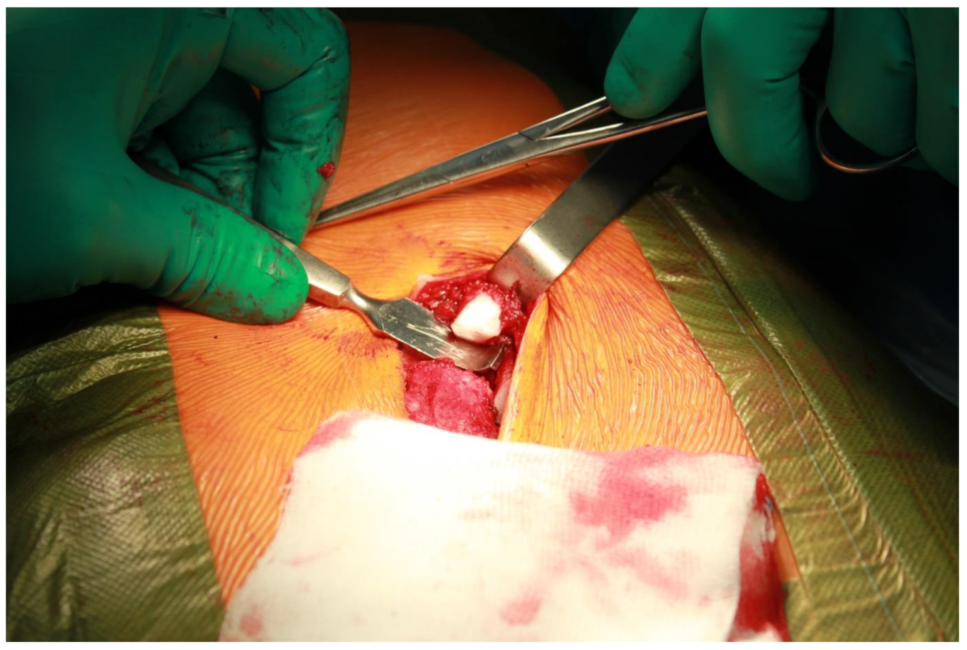 Ijerph 19 16701 i005 Ijerph 19 16701 i005