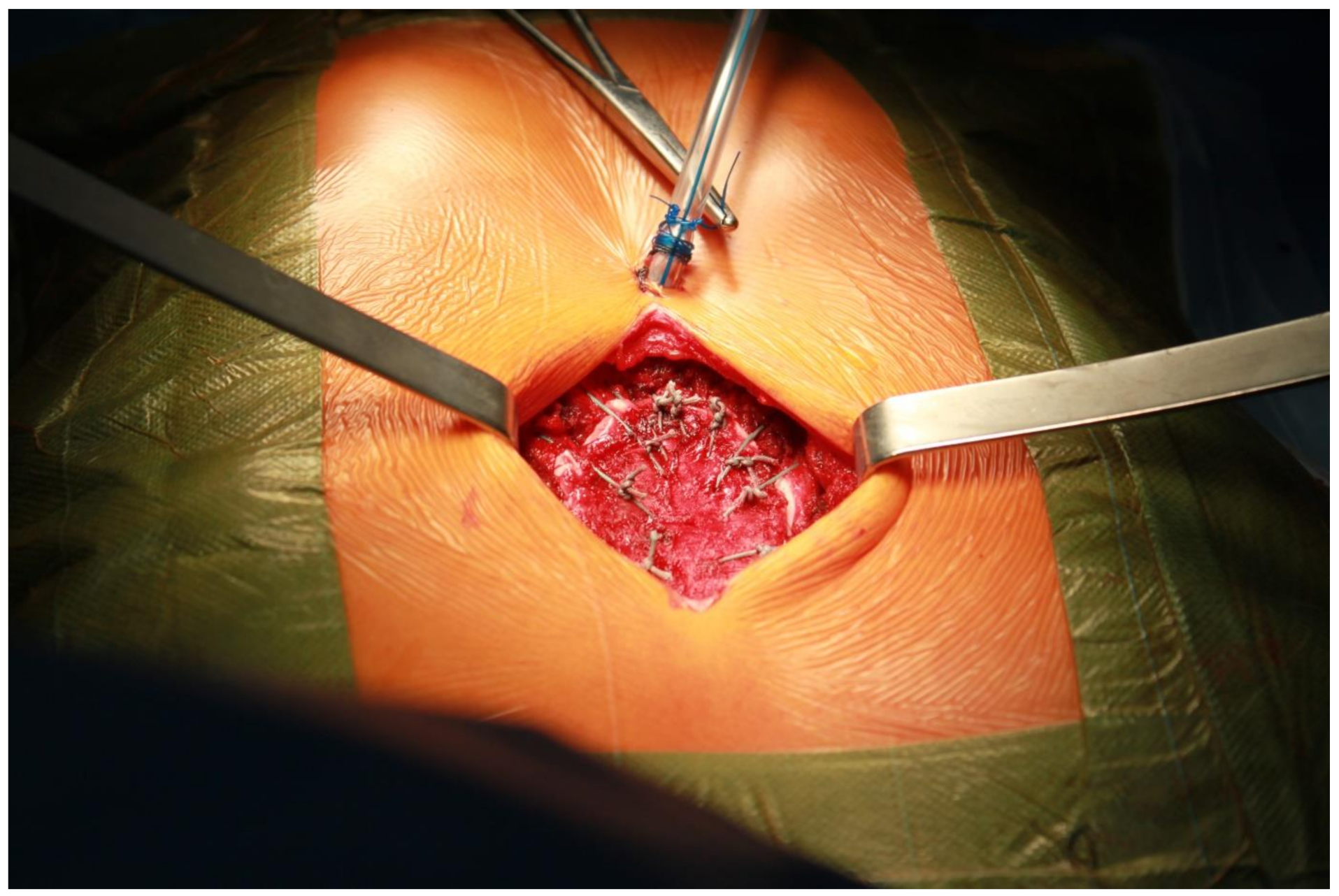 Ijerph 19 16701 i006 Ijerph 19 16701 i006