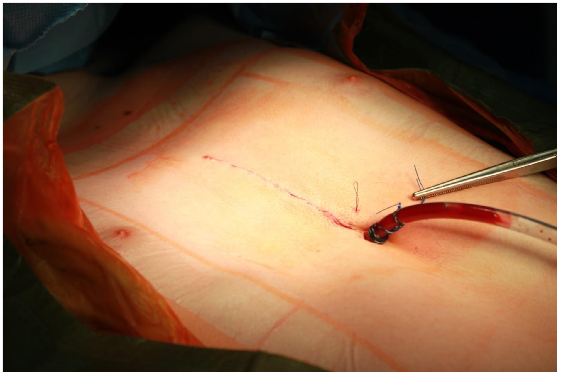 Ijerph 19 16701 i007 Ijerph 19 16701 i007