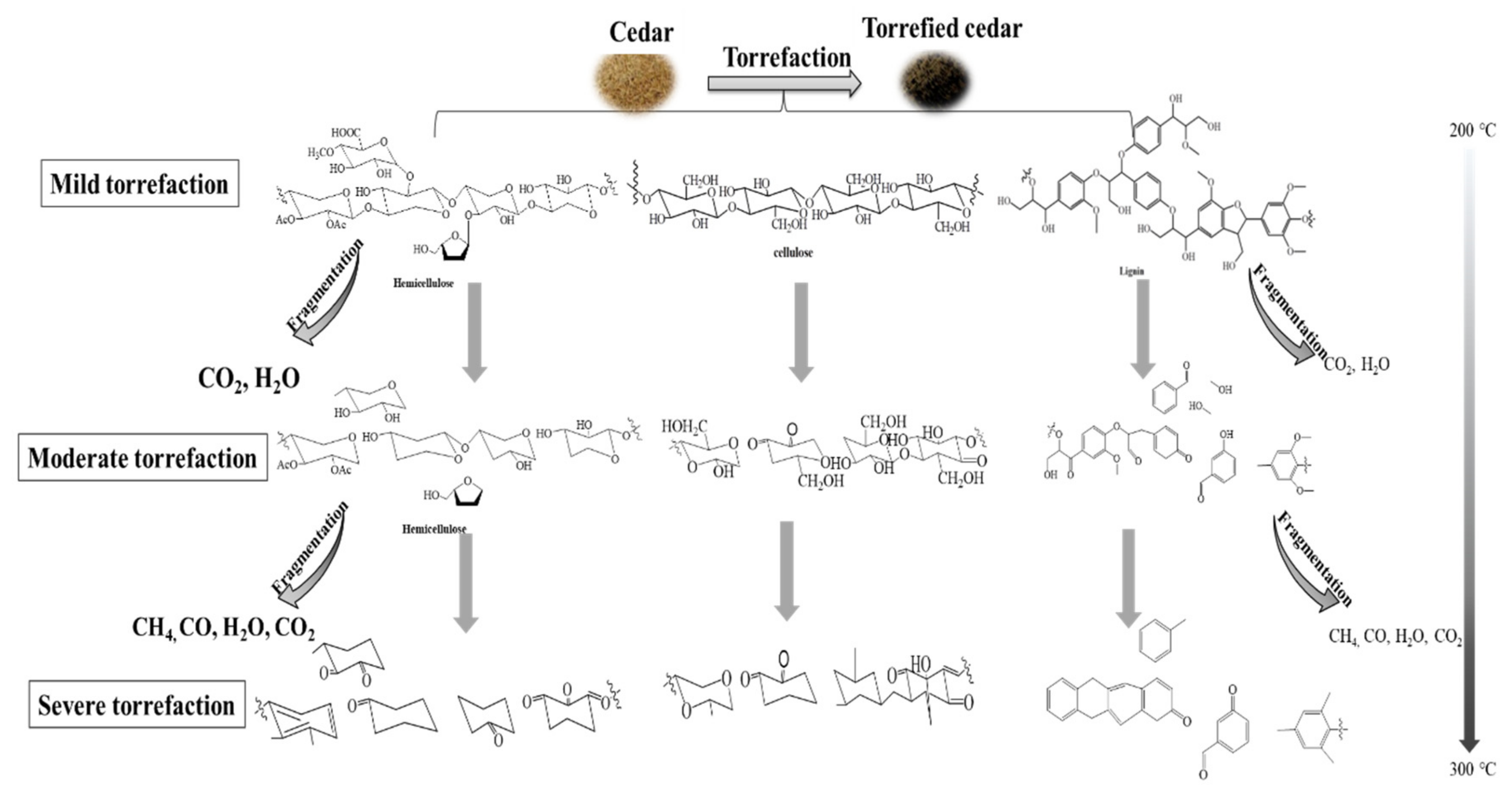 Ijerph 19 16831 g005