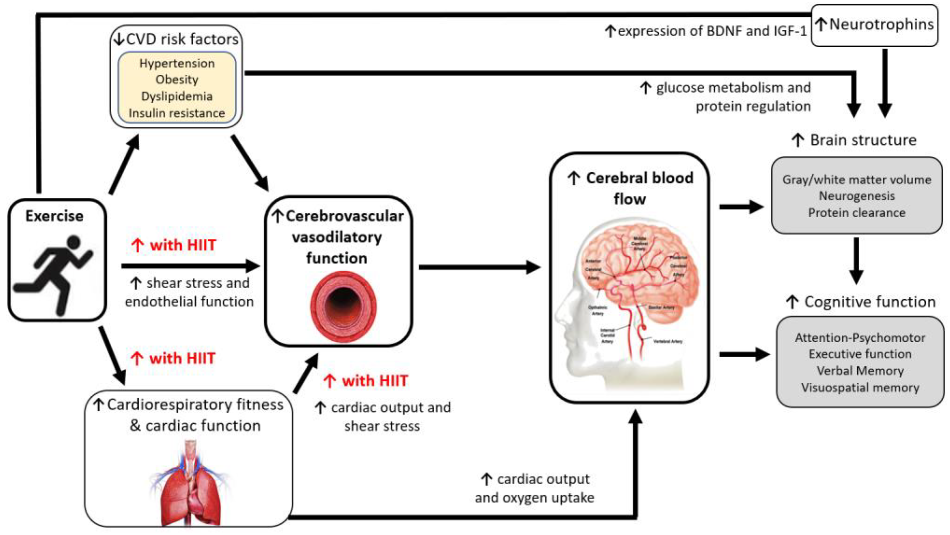 Ijerph 19 16926 g001