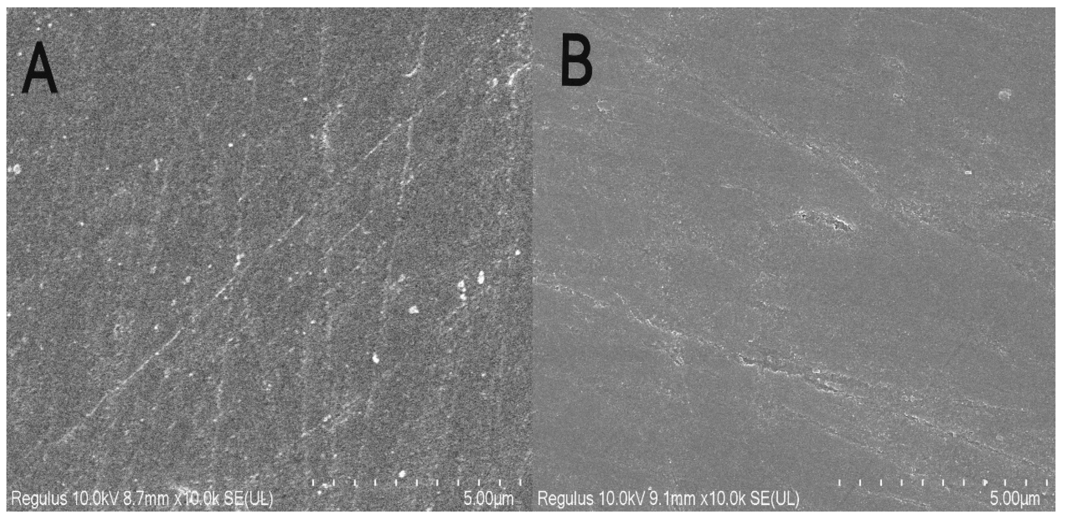 Ijerph 19 16945 g002