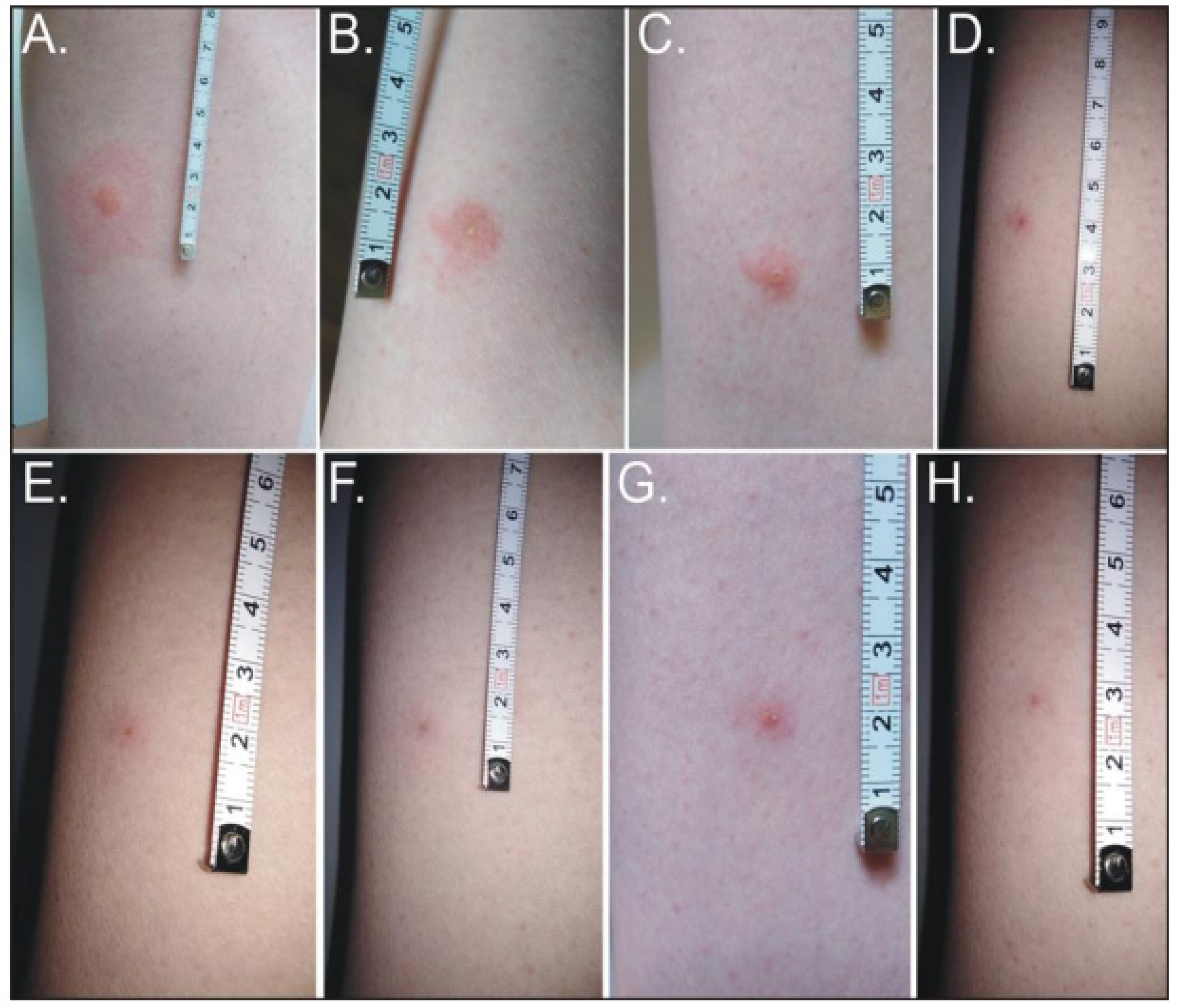 Ijerph 19 16978 g003