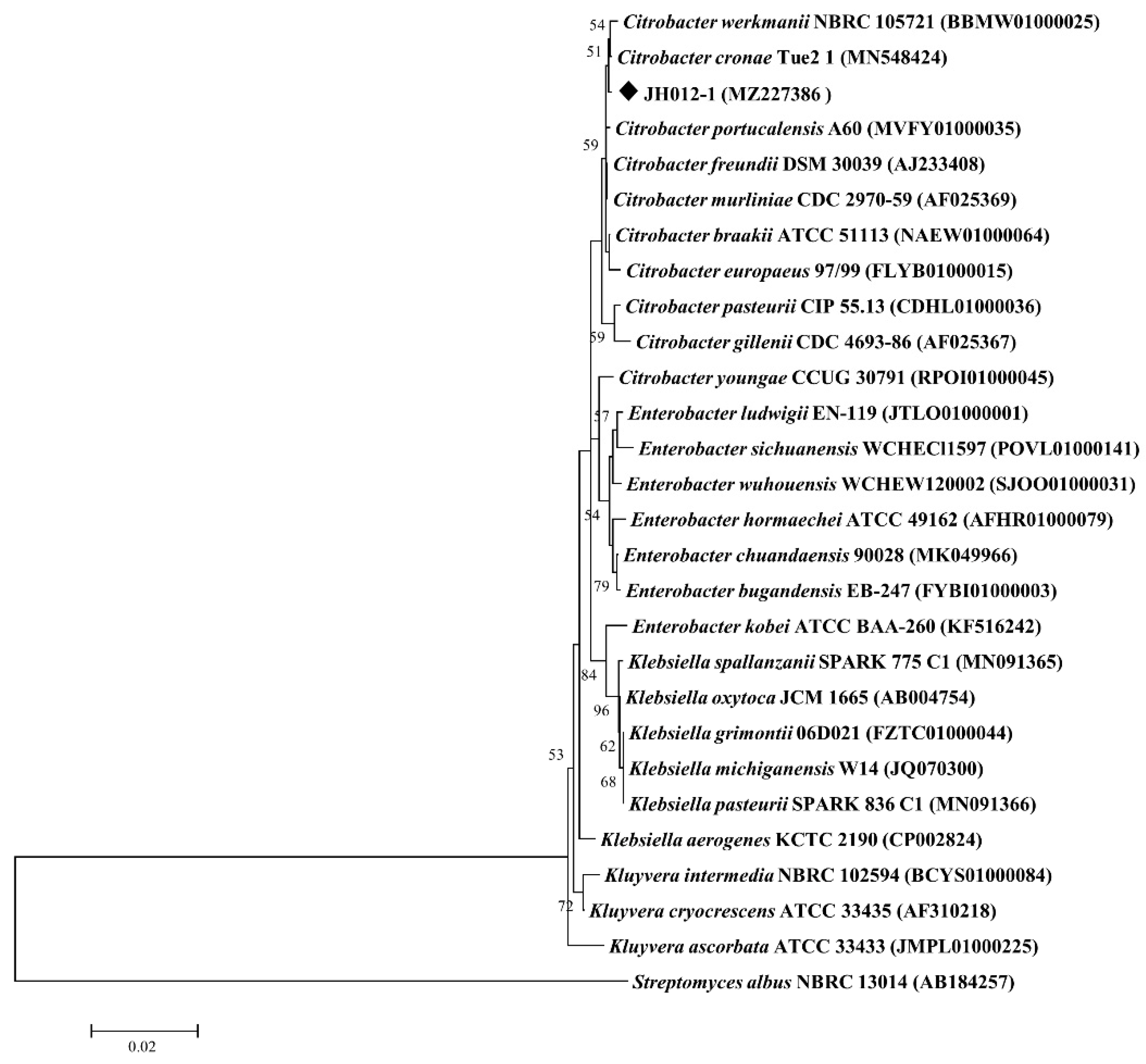 Ijerph 19 16987 g001 Ijerph 19 16987 g001