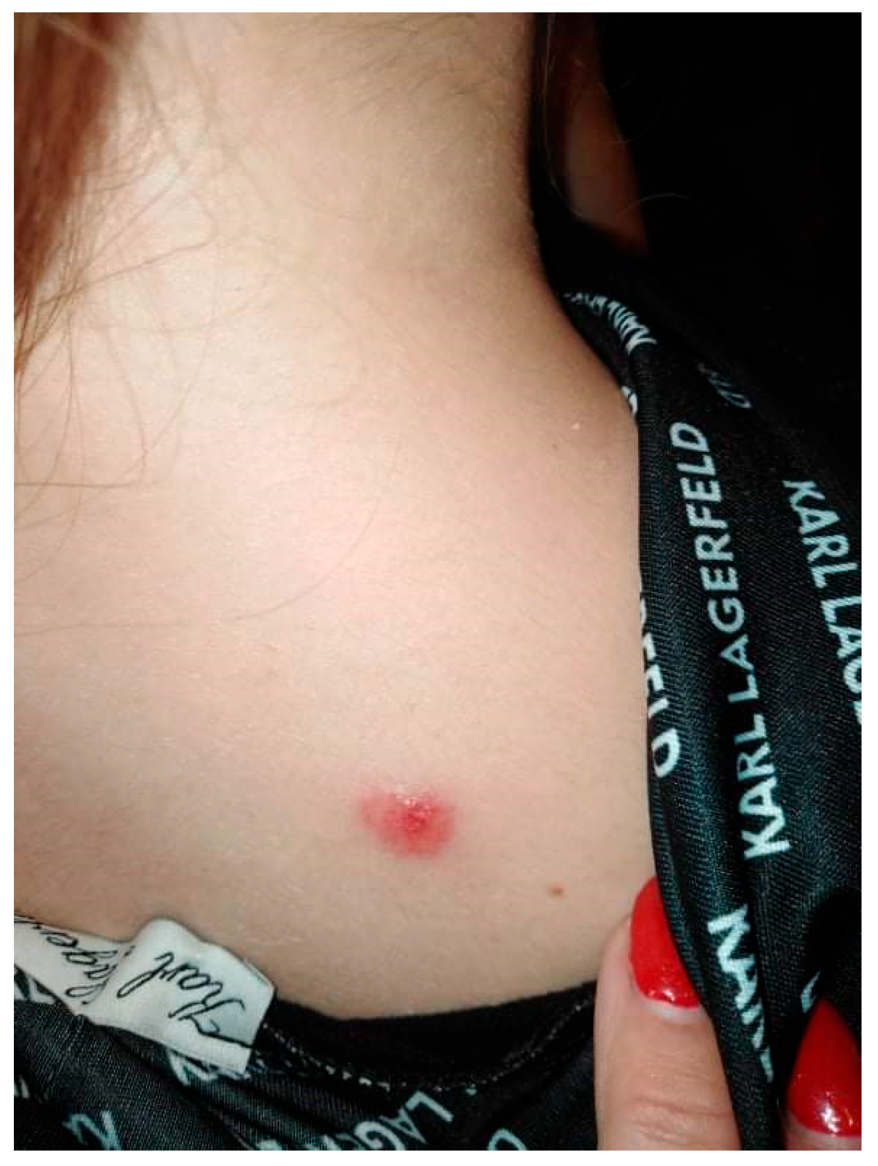 Ijerph 19 16992 g001 Ijerph 19 16992 g001