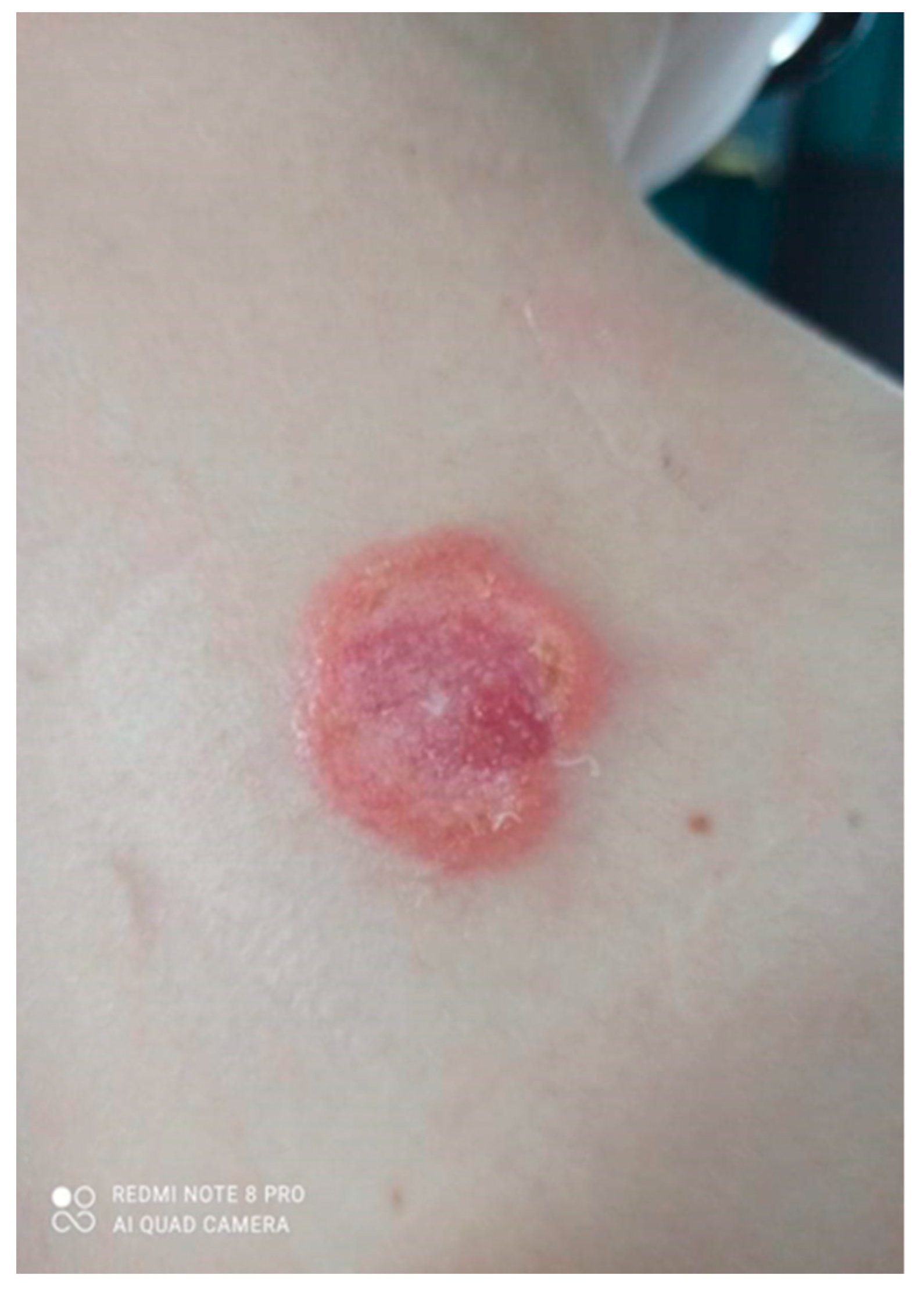 Ijerph 19 16992 g002 Ijerph 19 16992 g002