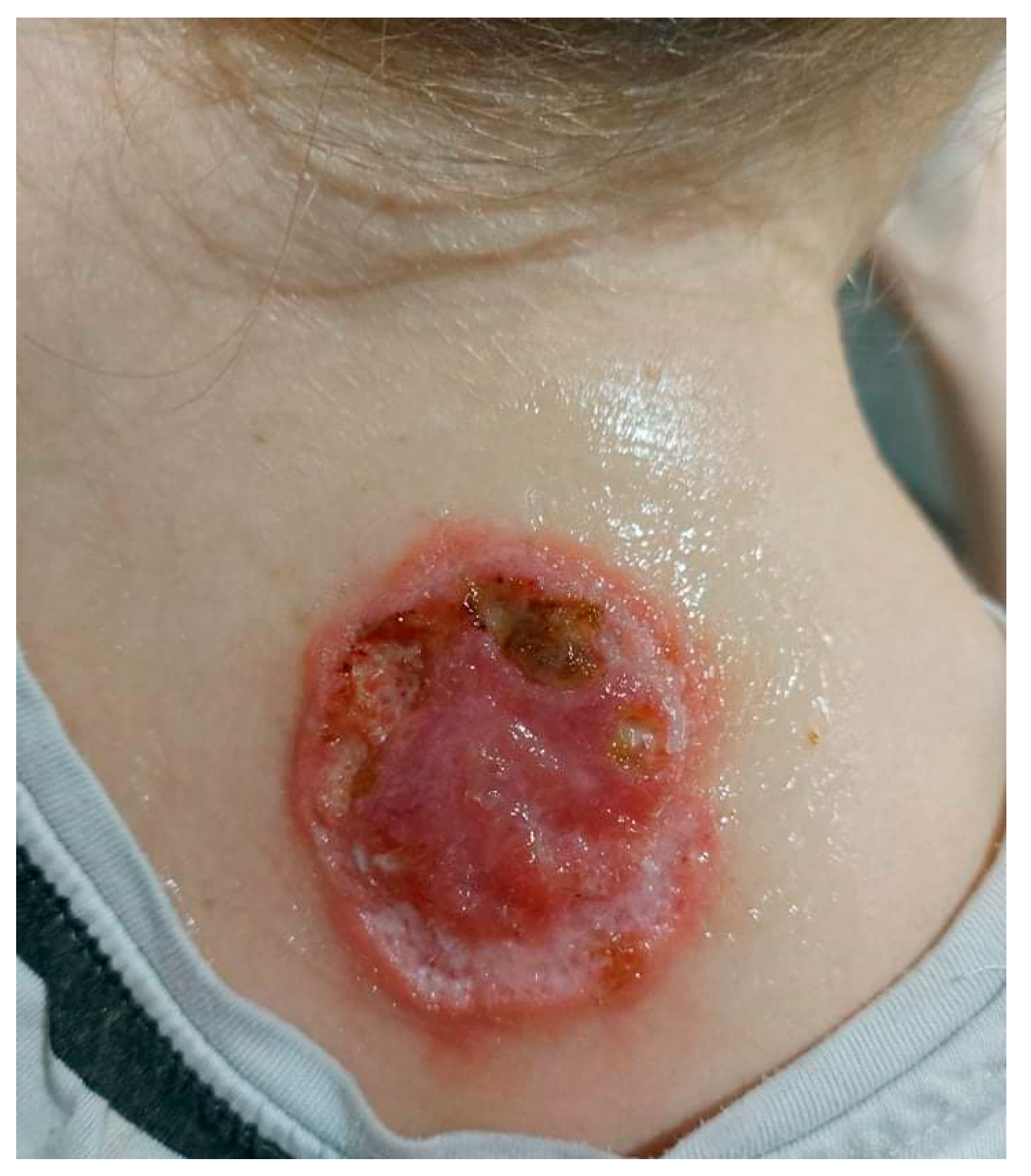 Ijerph 19 16992 g005 Ijerph 19 16992 g005