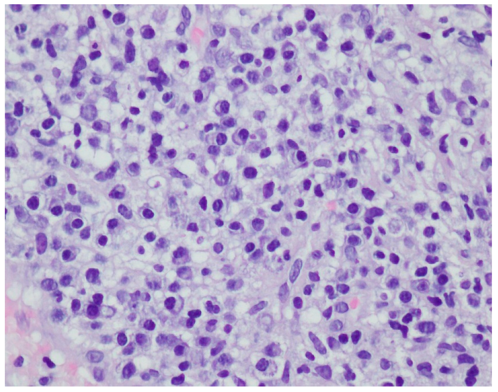 Ijerph 19 16992 g009 Ijerph 19 16992 g009