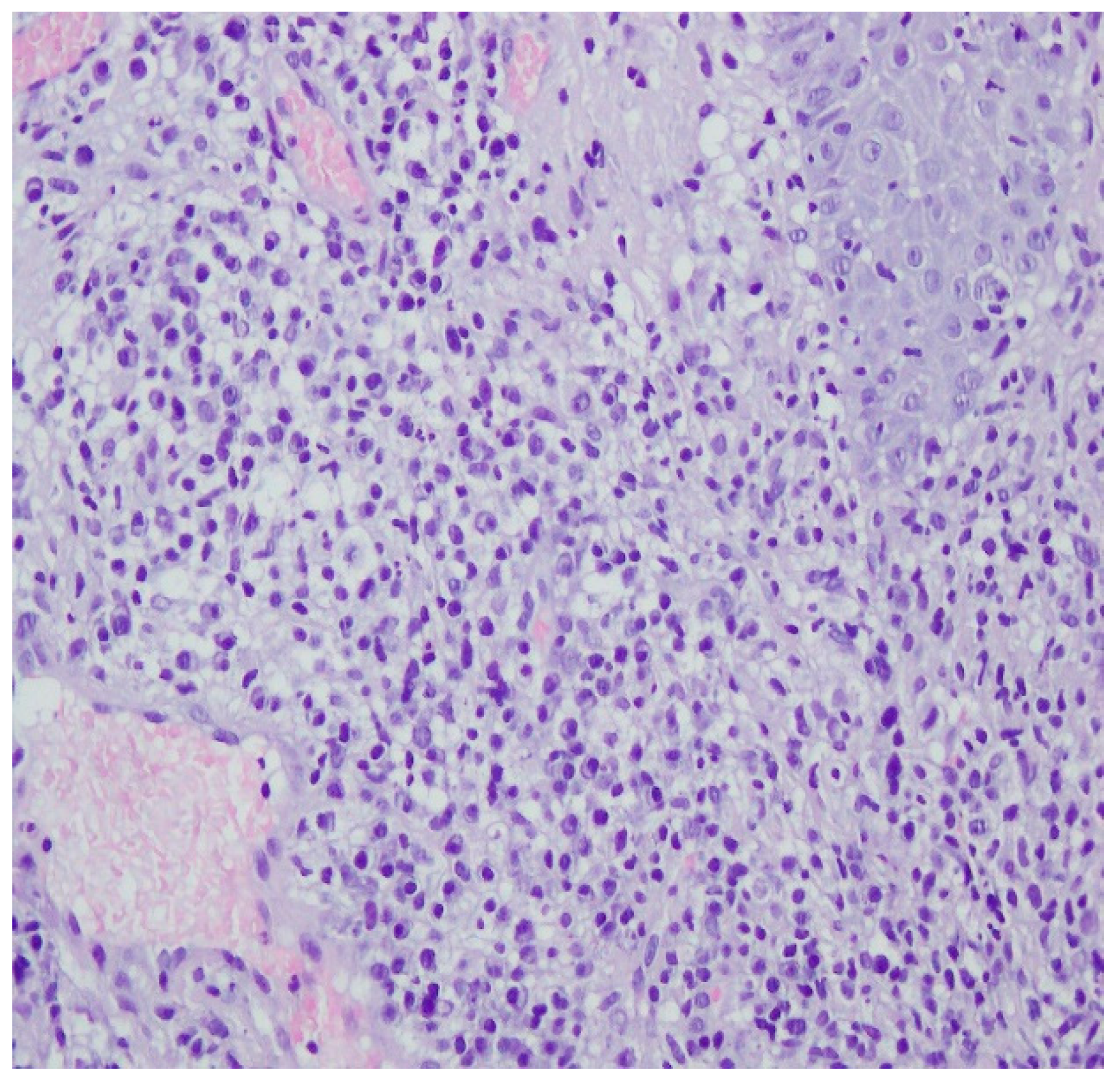 Ijerph 19 16992 g010 Ijerph 19 16992 g010