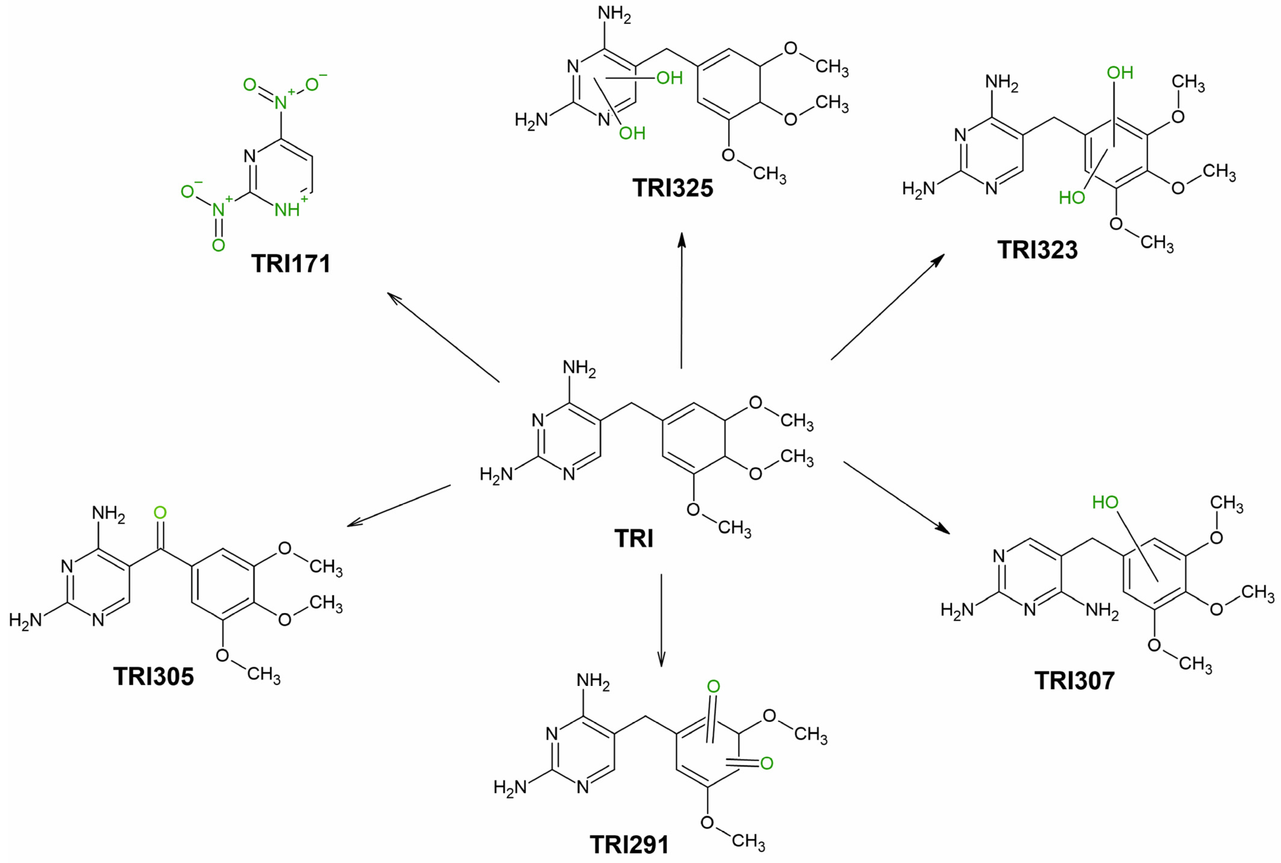 Ijerph 19 16994 g001