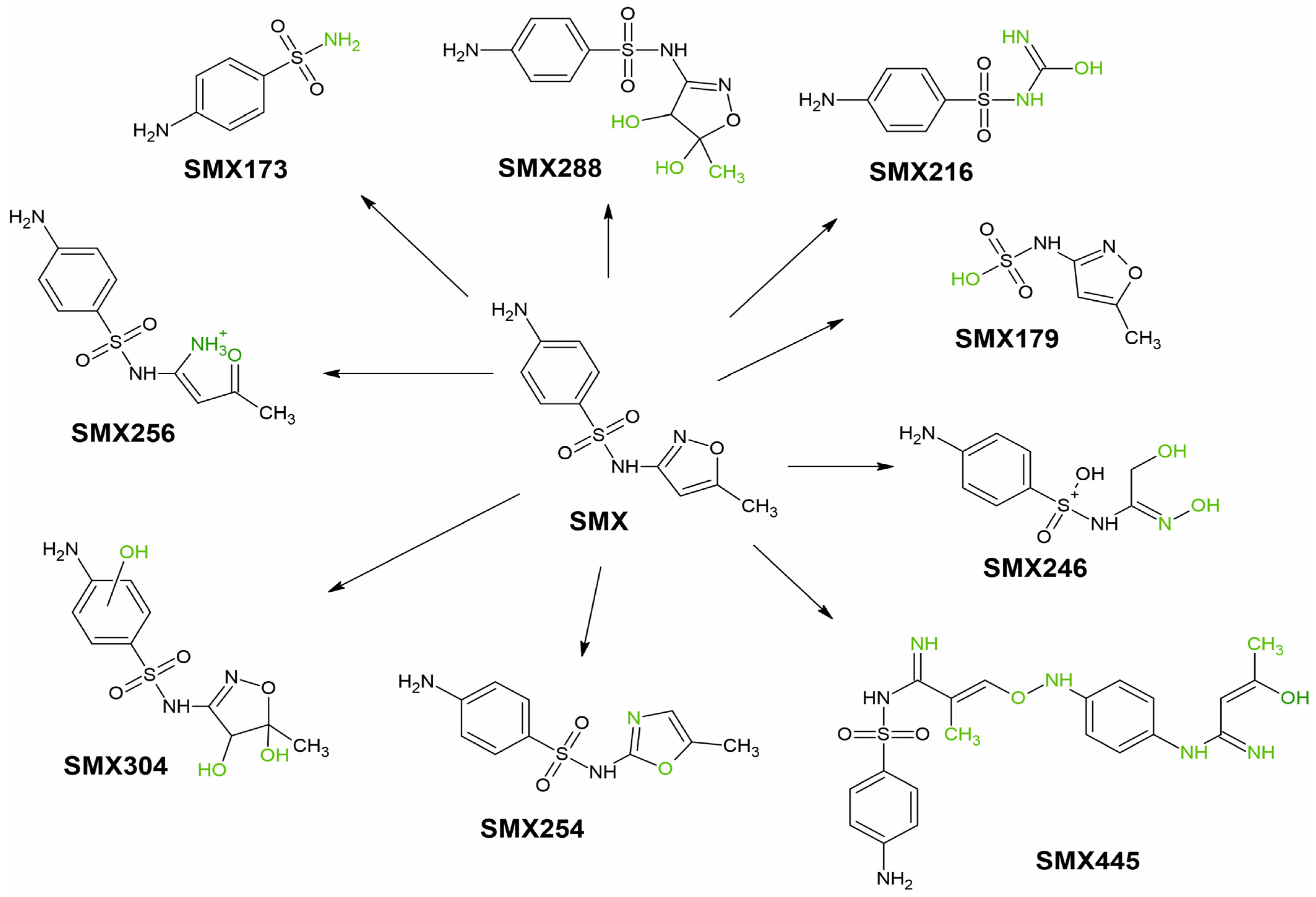 Ijerph 19 16994 g003