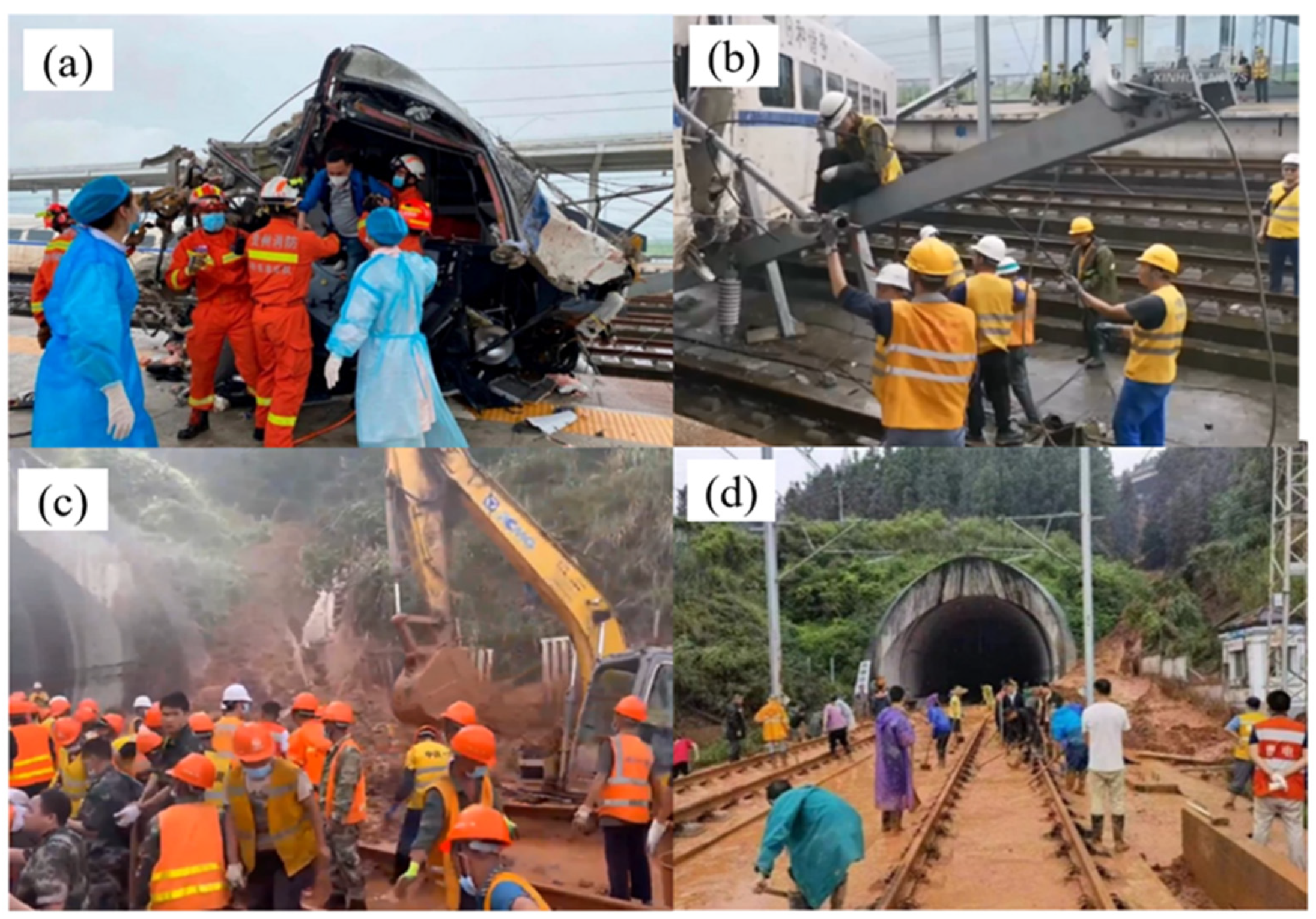 Ijerph 19 17003 g003