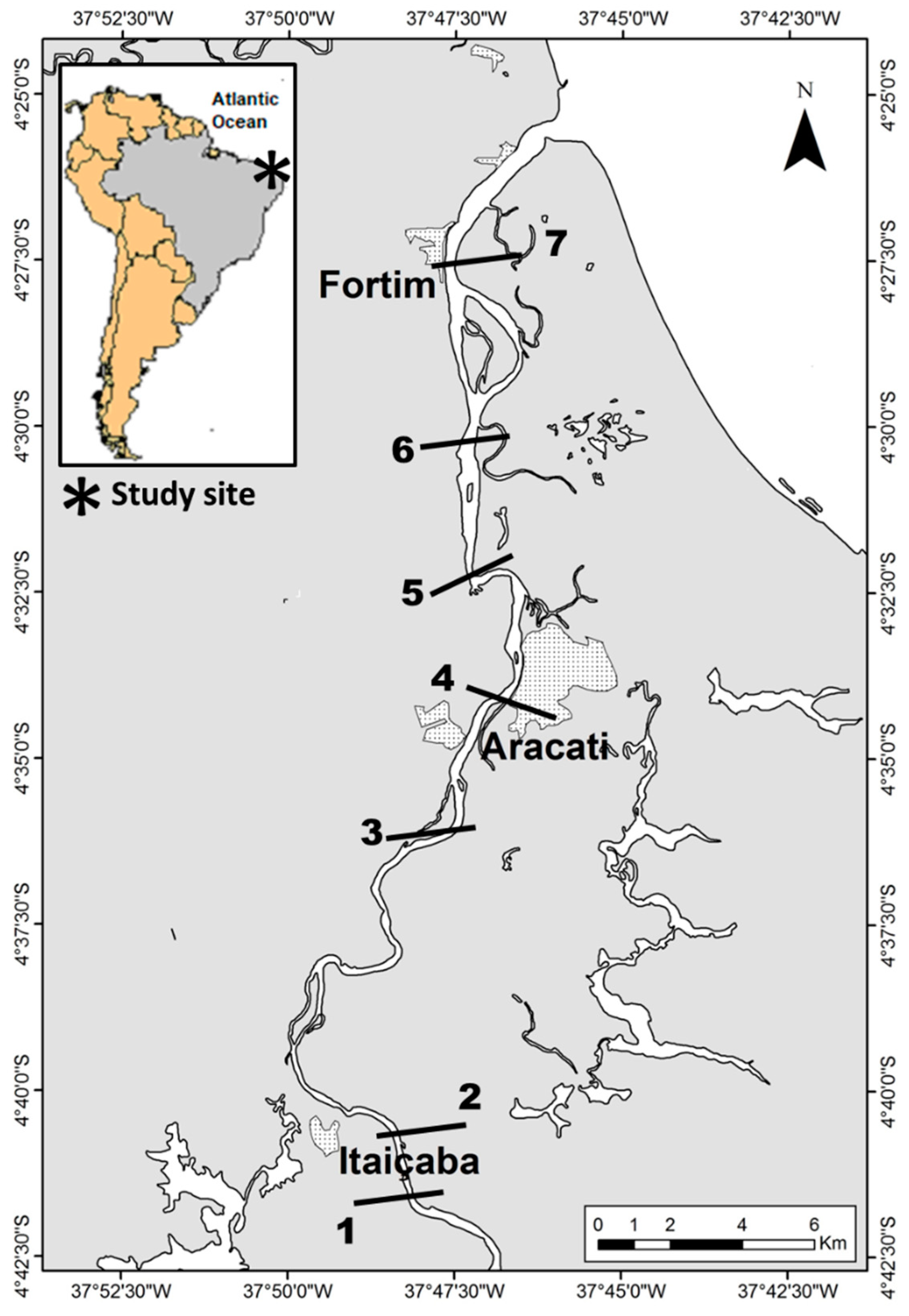 Ijerph 19 17092 g001