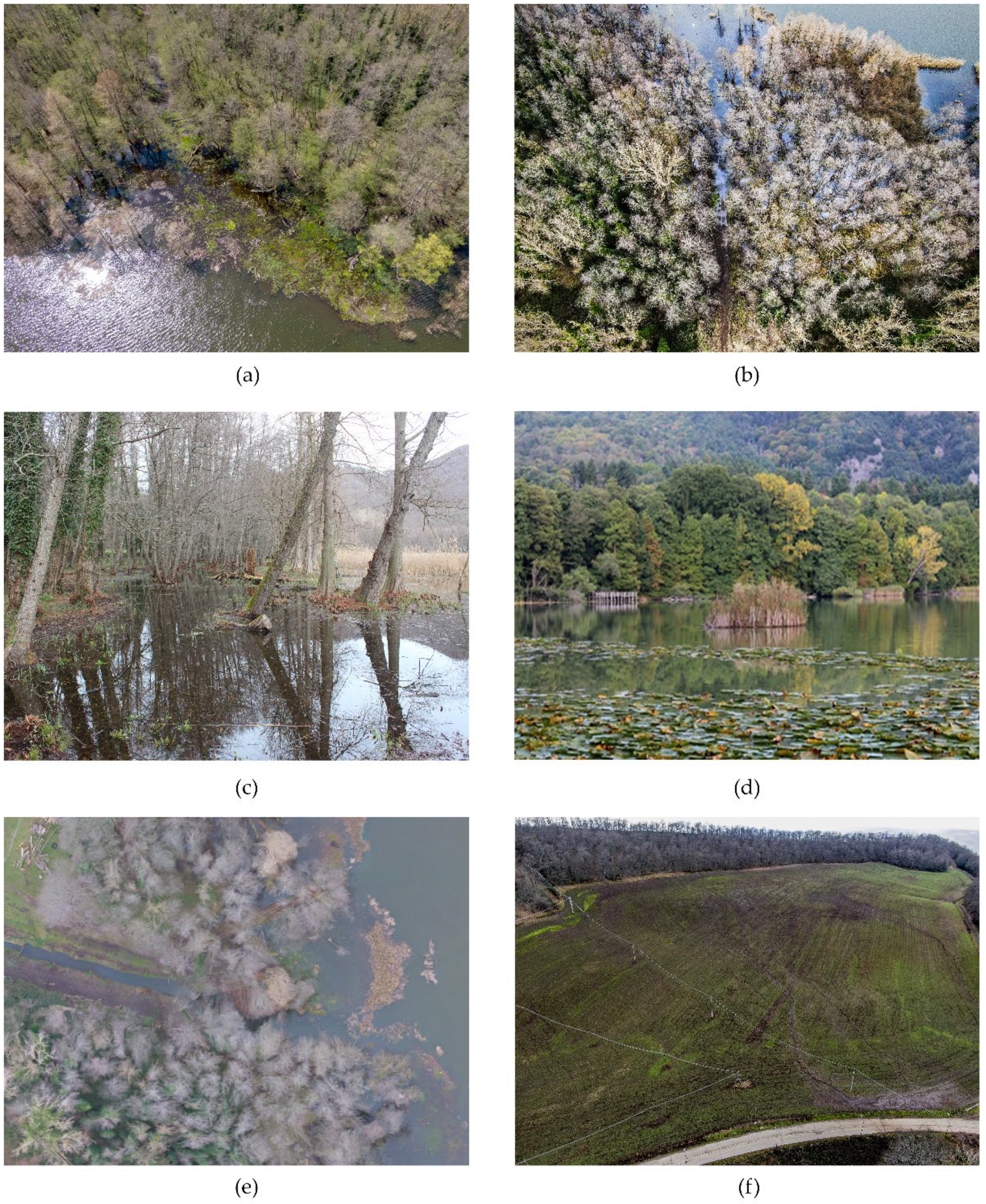 Ijerph 20 00005 g007