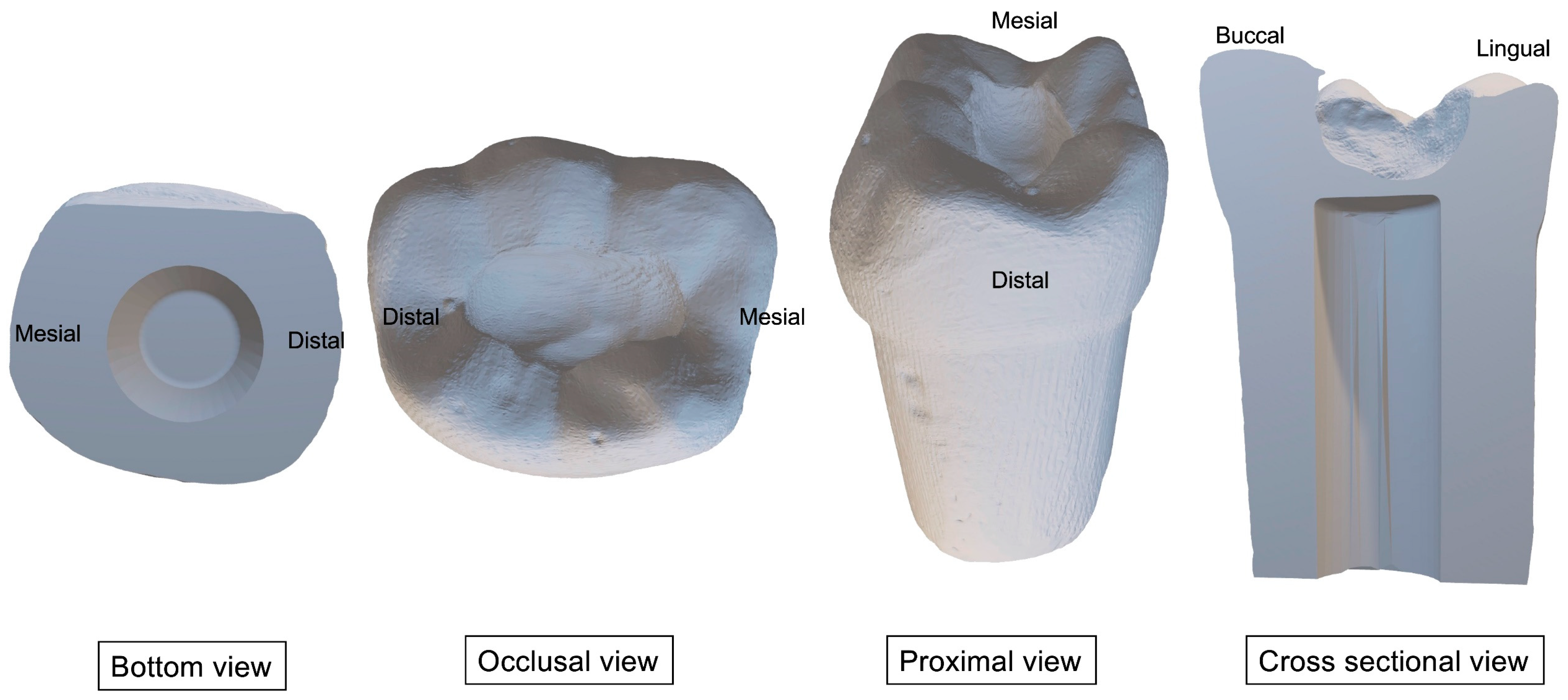 Ijerph 20 00090 g001