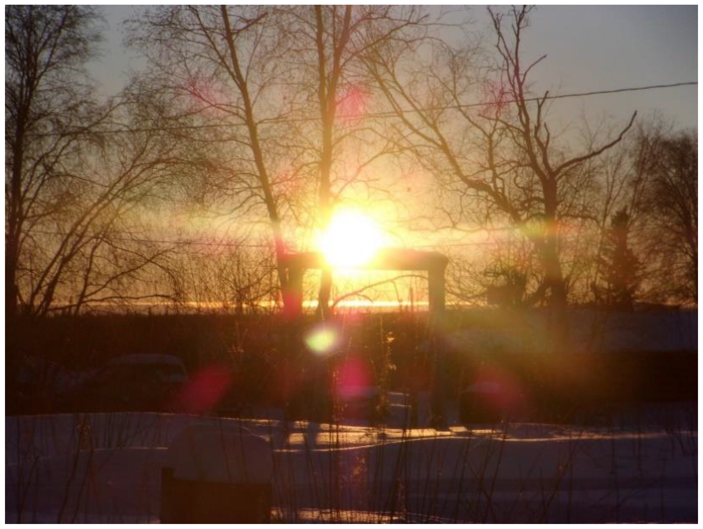 Ijerph 20 00244 g002